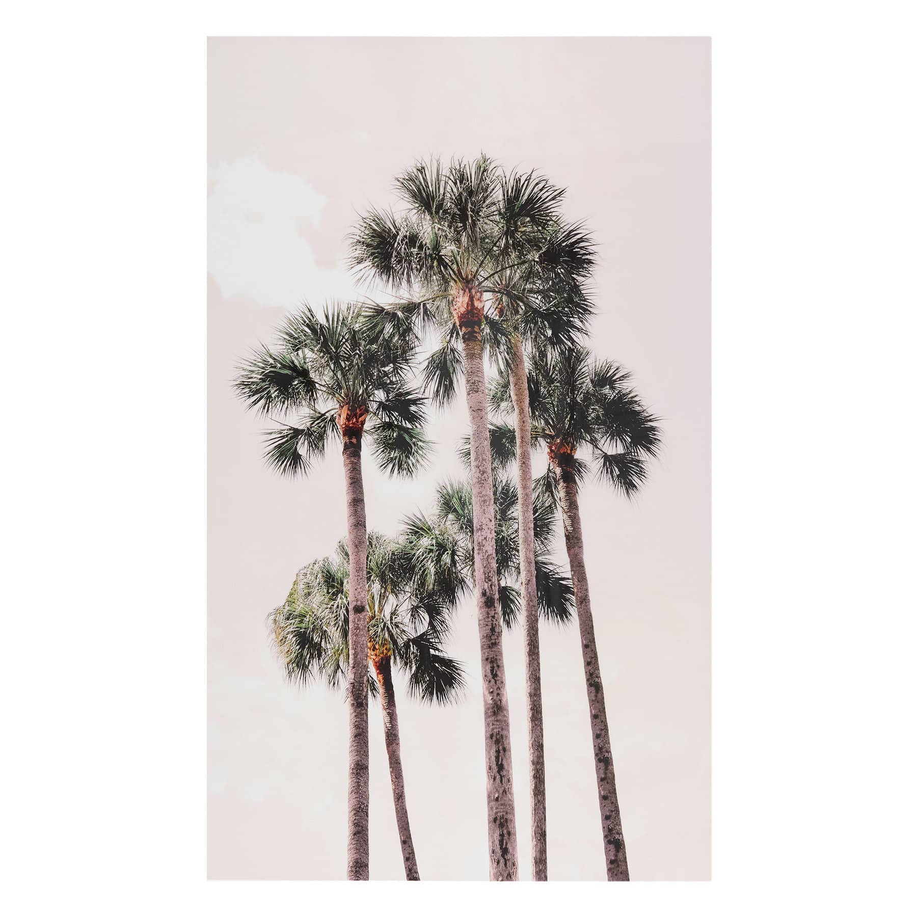 Pink Tropics Glass Coat Canvas Wall Art, 36x60
