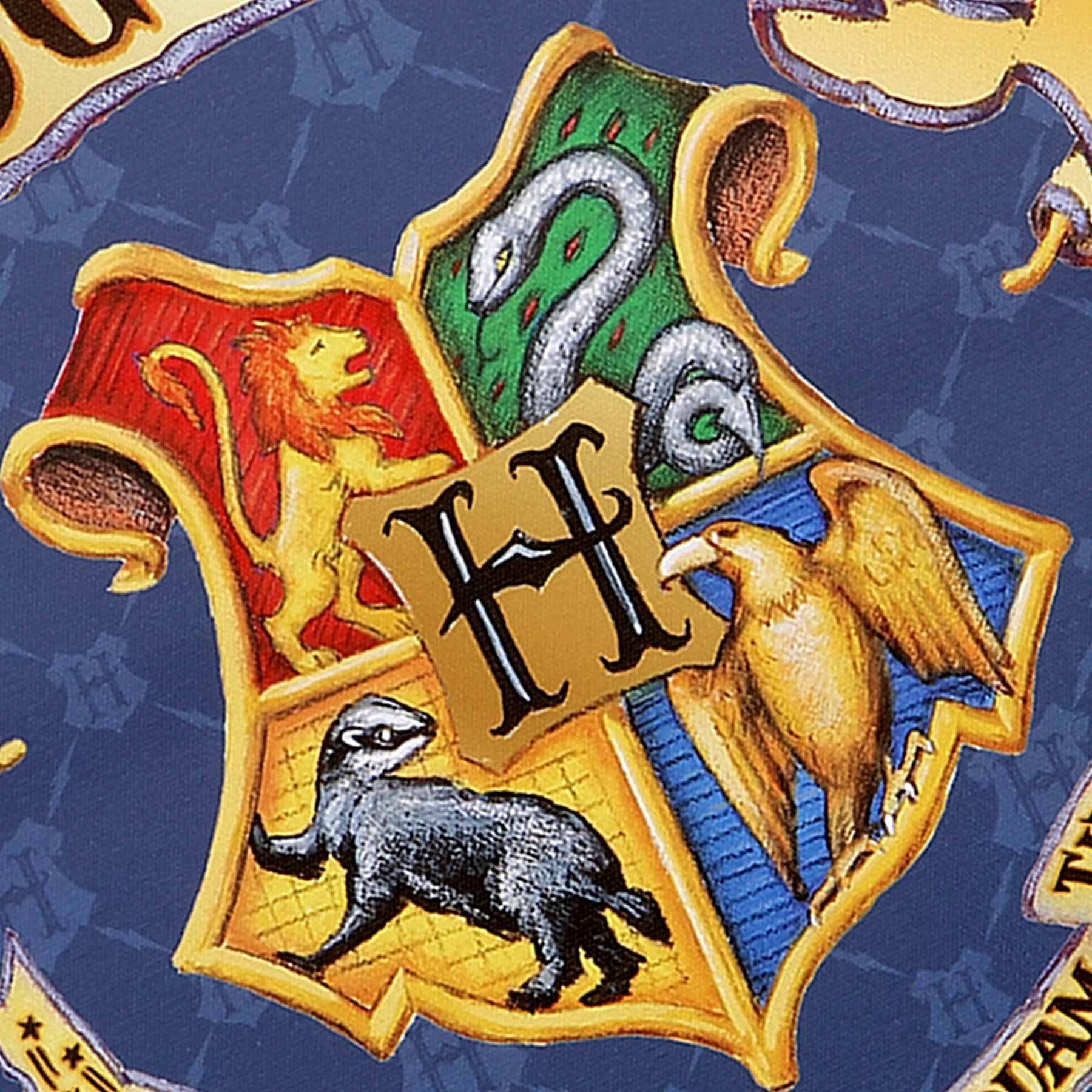 Harry Potter Crest Canvas Wall Art, 11x14