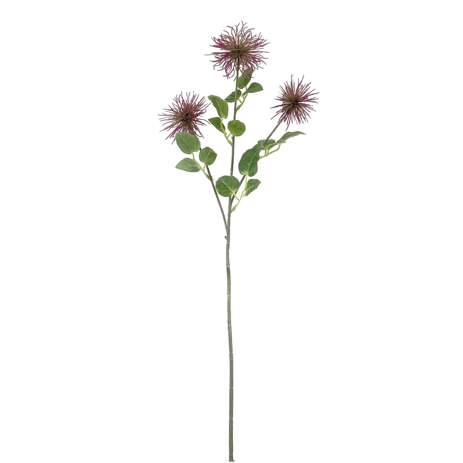 Purple Xanthium Stem, 28"