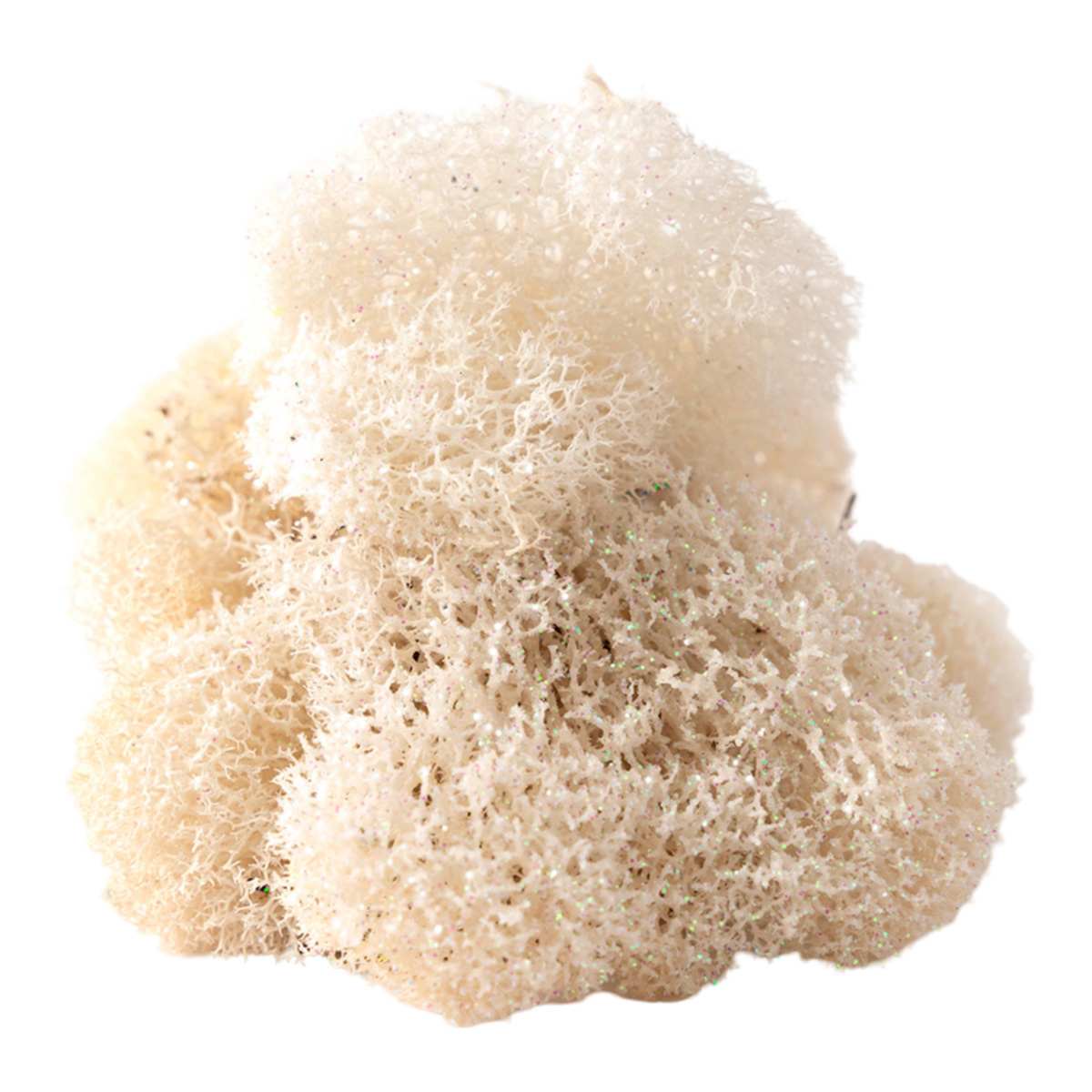 Glittered White Reindeer Moss