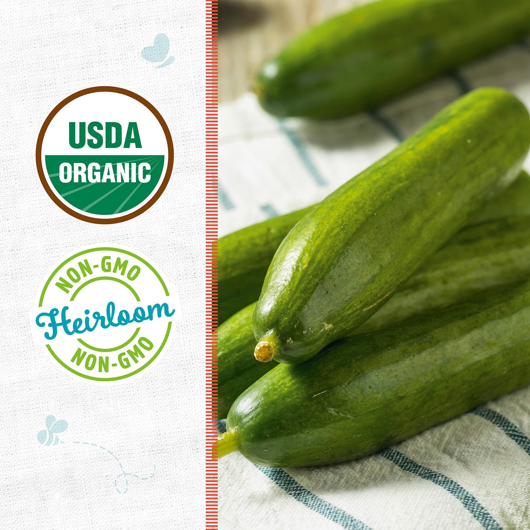 Back to Roots Heirloom Seeds, Cucumber Straight Eight