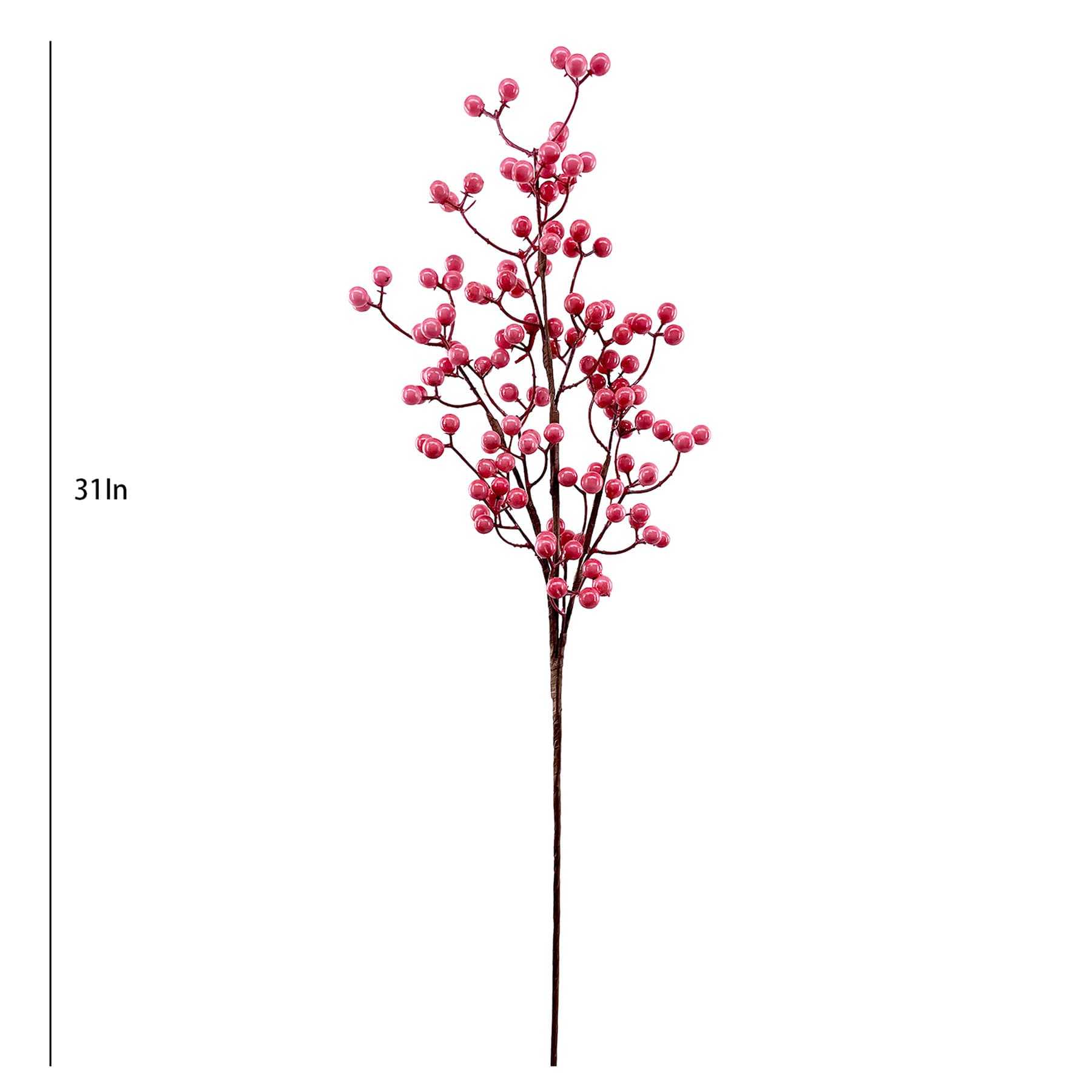 Pink Berries Ste, 31"