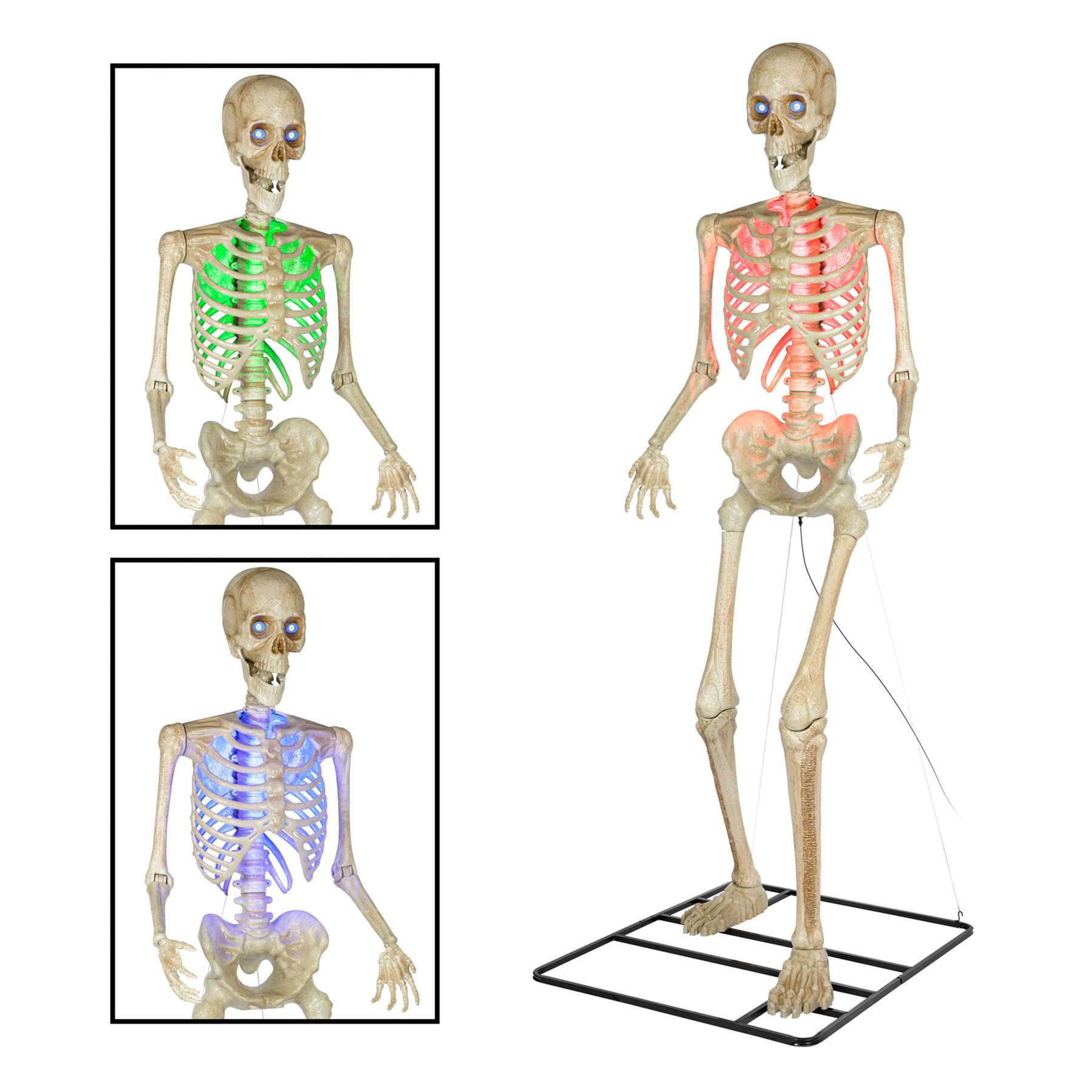 Color-Changing LED Posable Skeleton, 10'
