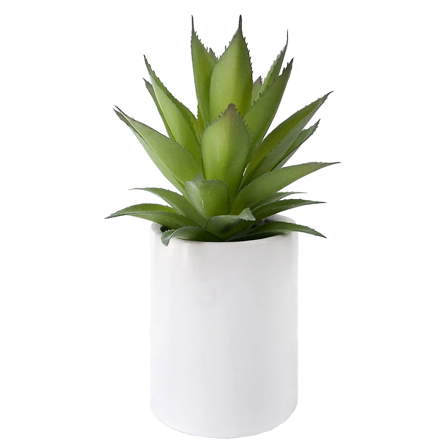 Agave Succulent in White Ceramic Pot, 9"