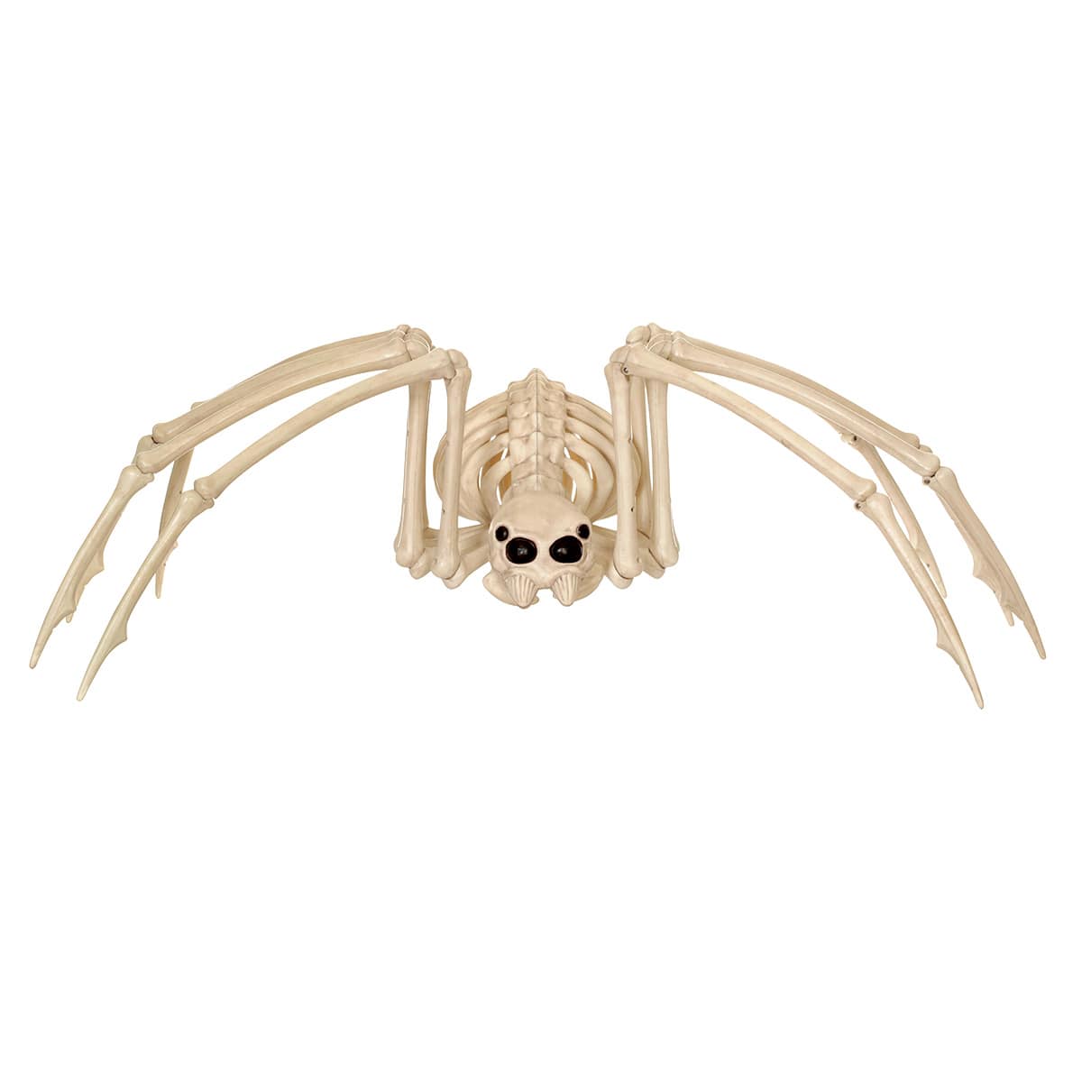 Halloween Spider Skeleton, 40.5"