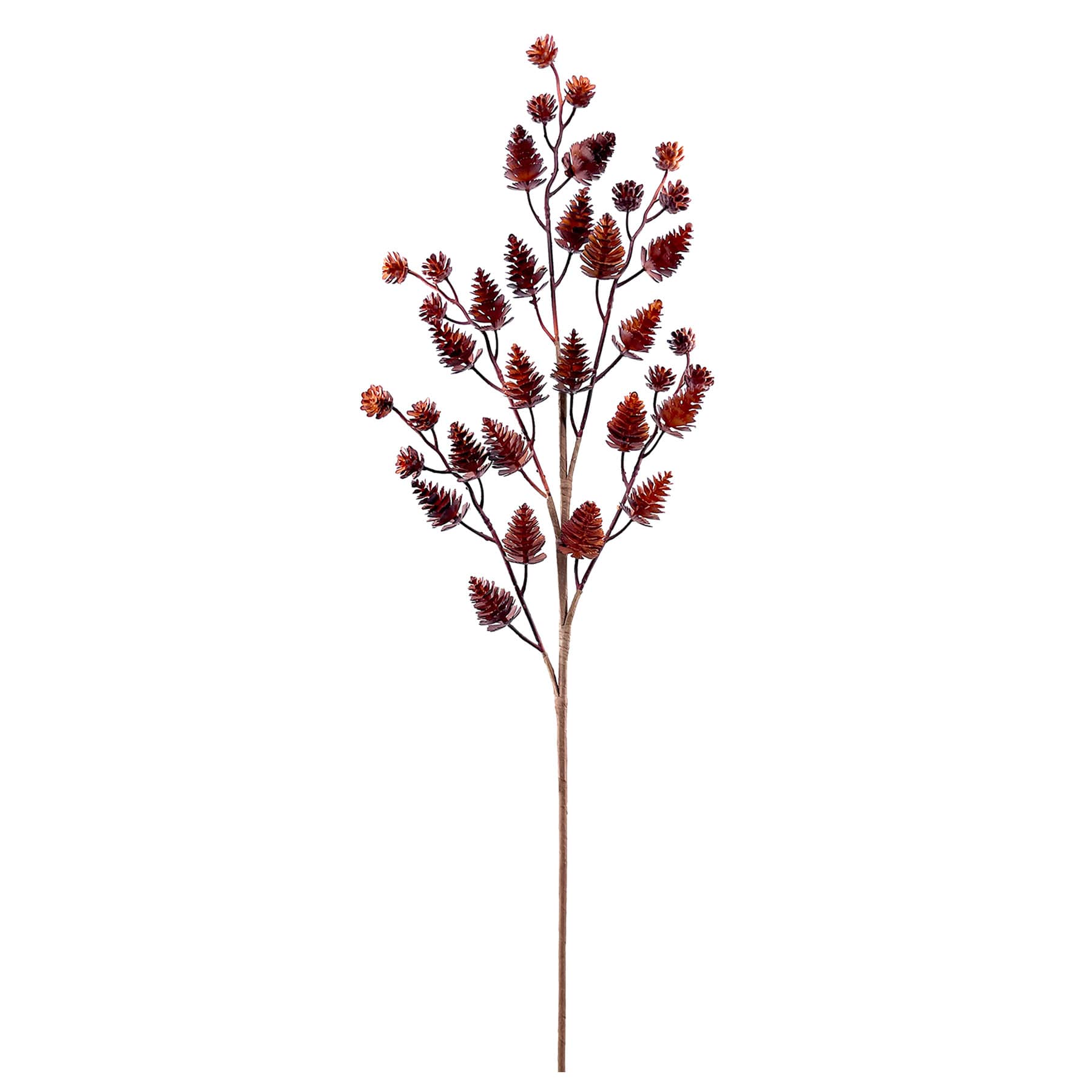 Brown Pinecone Stem, 30"