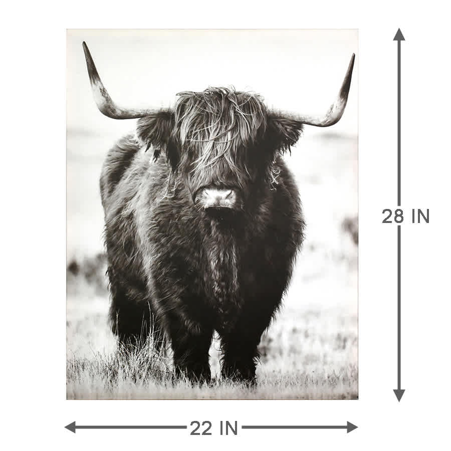 Ty Pennington Highland Cow Canvas Wall Art, 22x28