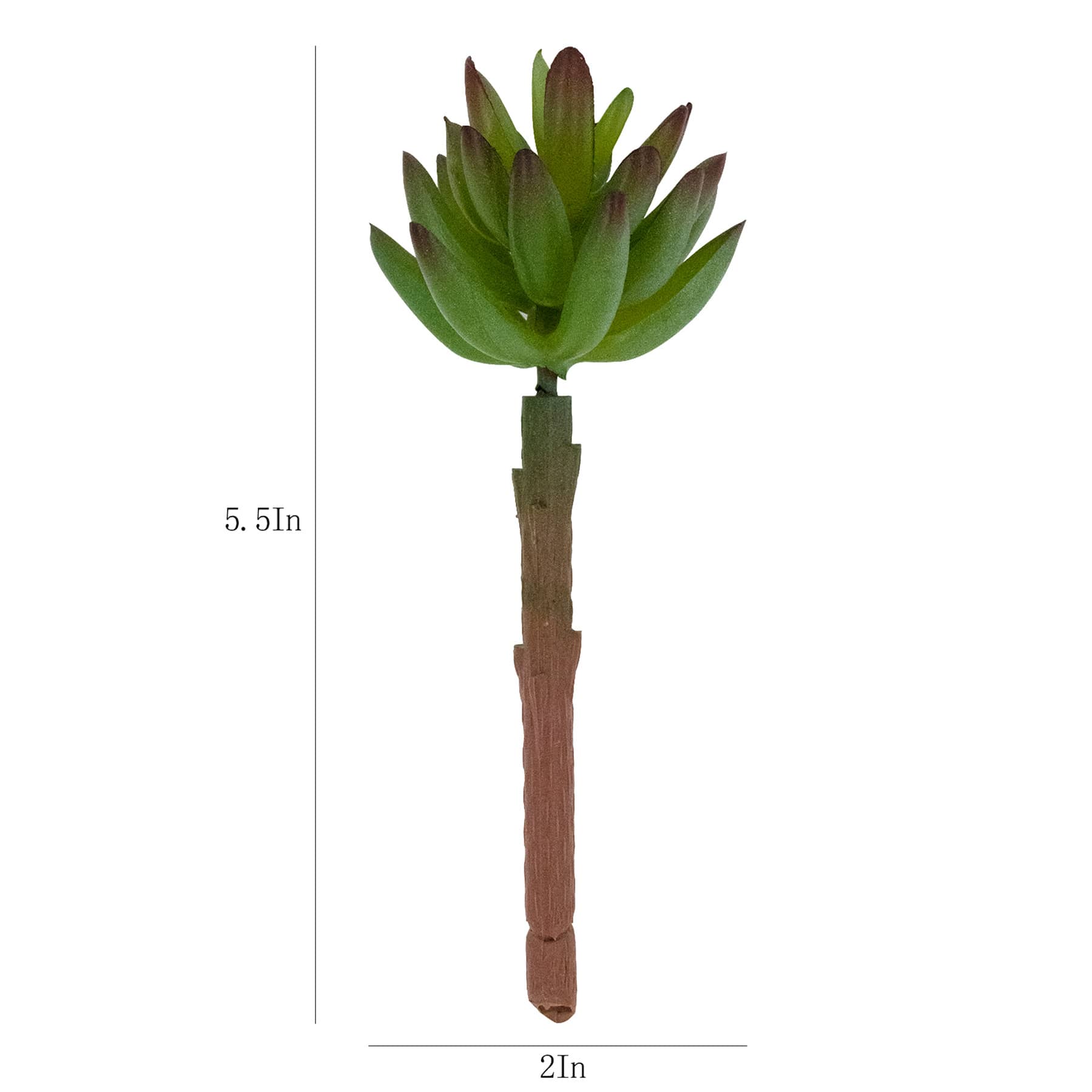 Green Succulent Pick, 5.5"
