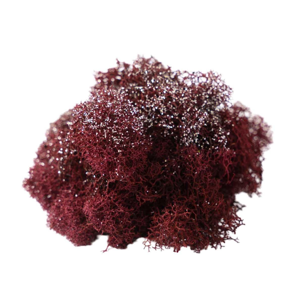 Glittered Wine Reindeer Moss