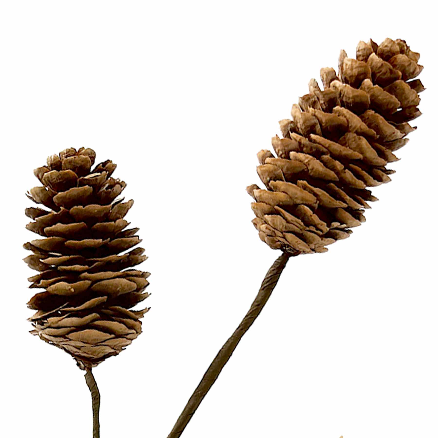 Pinecone Pick, 20"