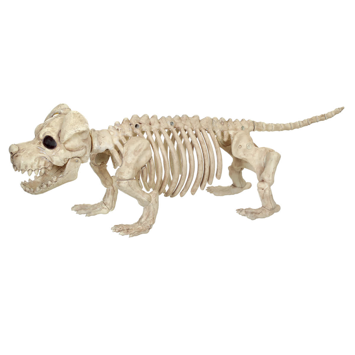 Puppy Bonez Halloween Decor, 15.25"