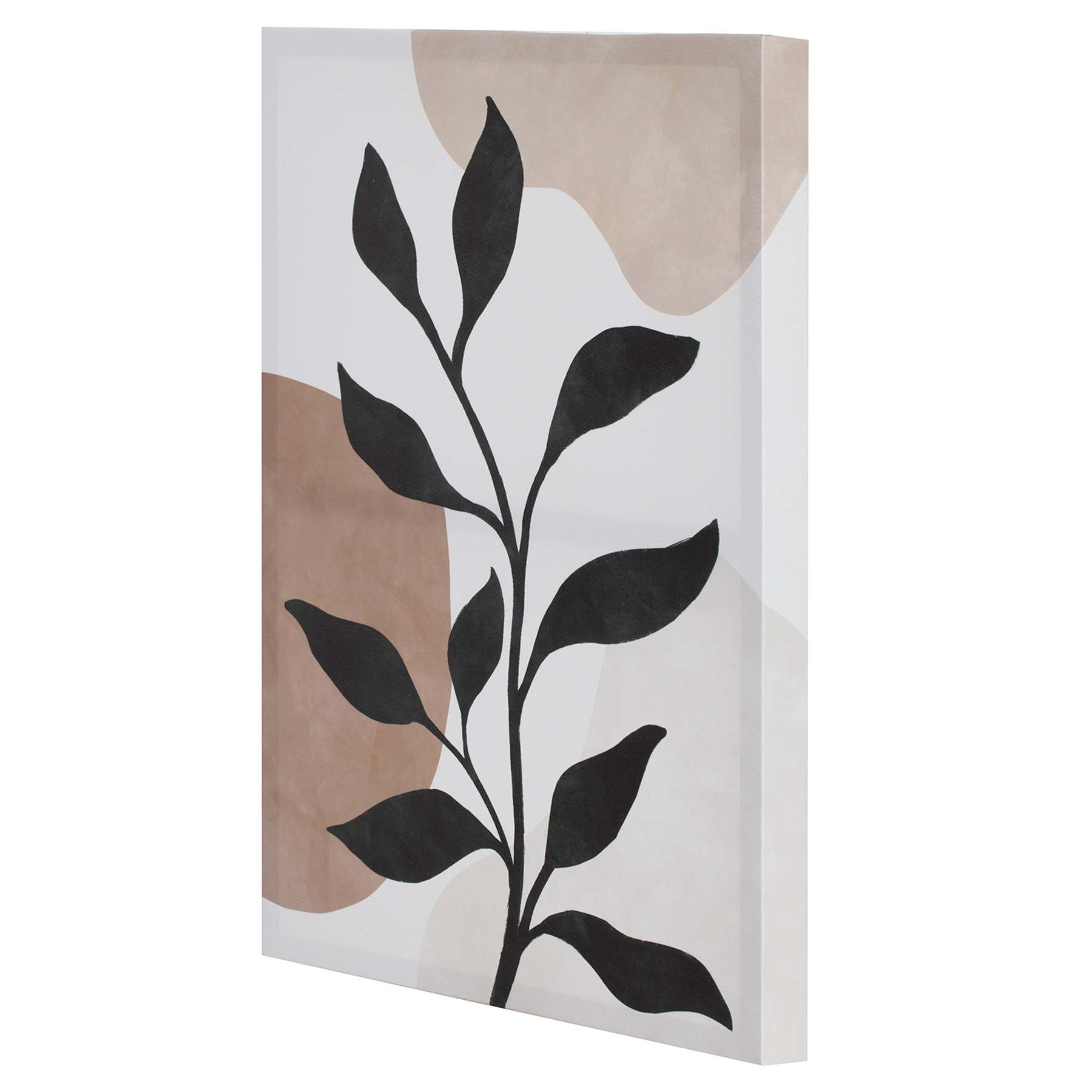 Botanical Canvas Wall Art, 12x16