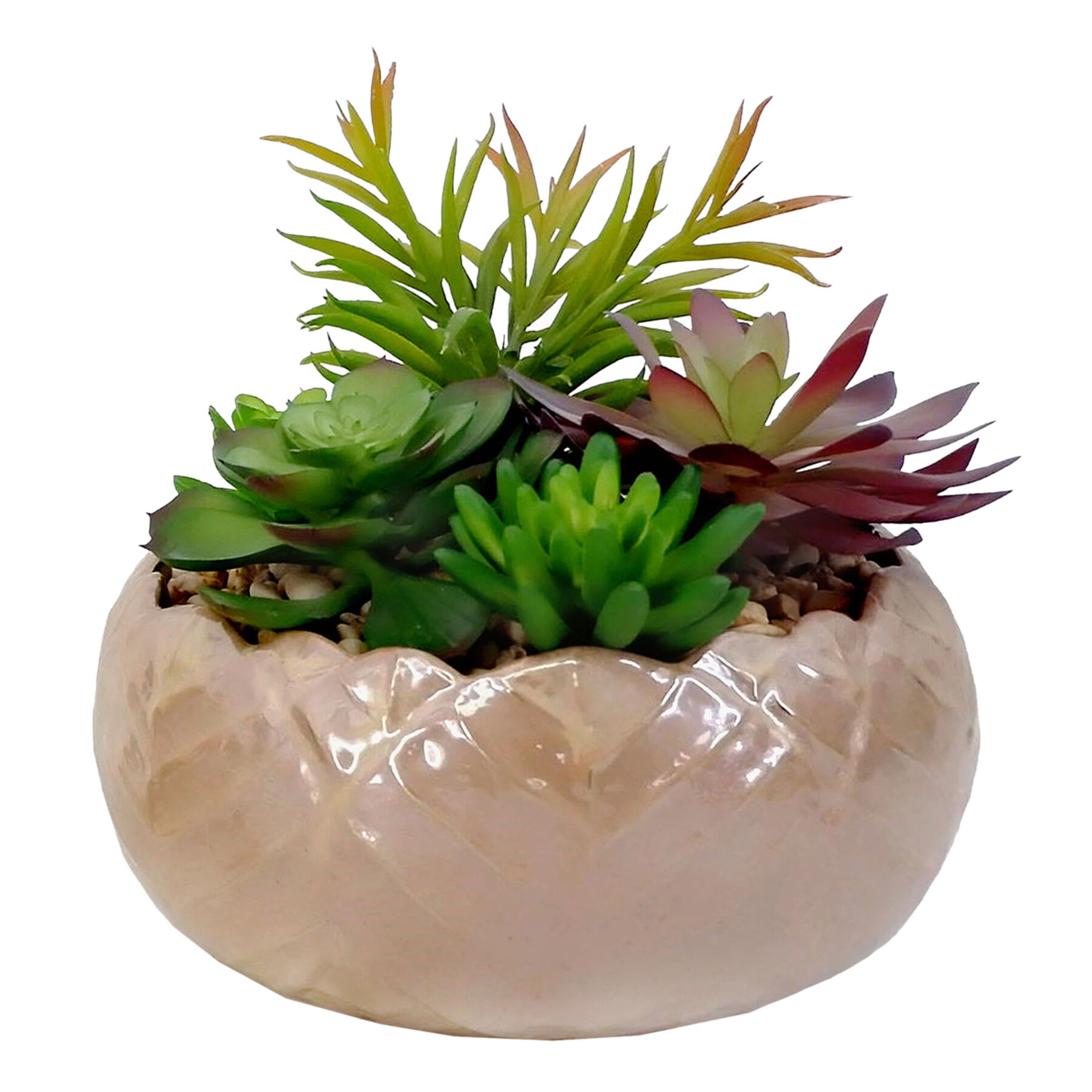 Succulent Mix with Glossy Ceramic Planter, 8"
