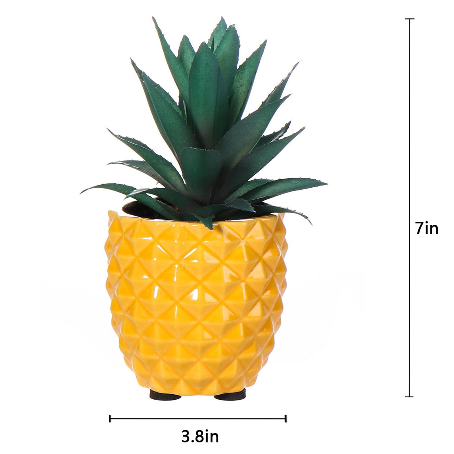 Mini Succulents in Pineapple Pot, 7"
