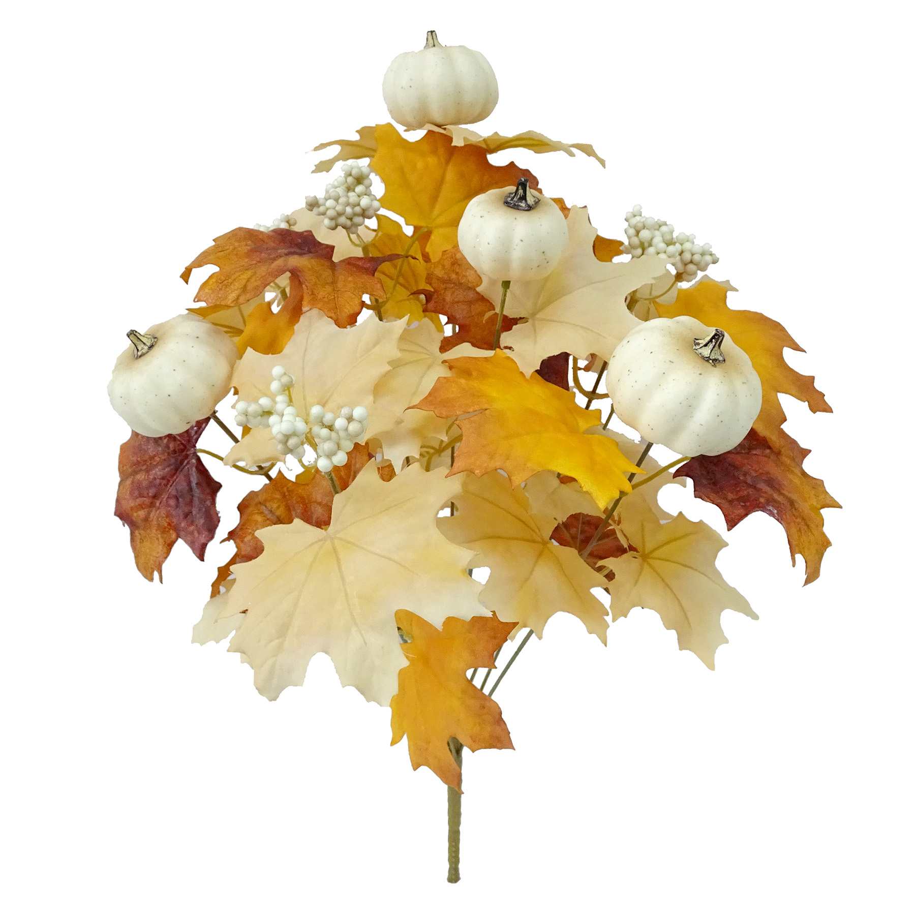 Maple & Pumpkin Mix Bush
