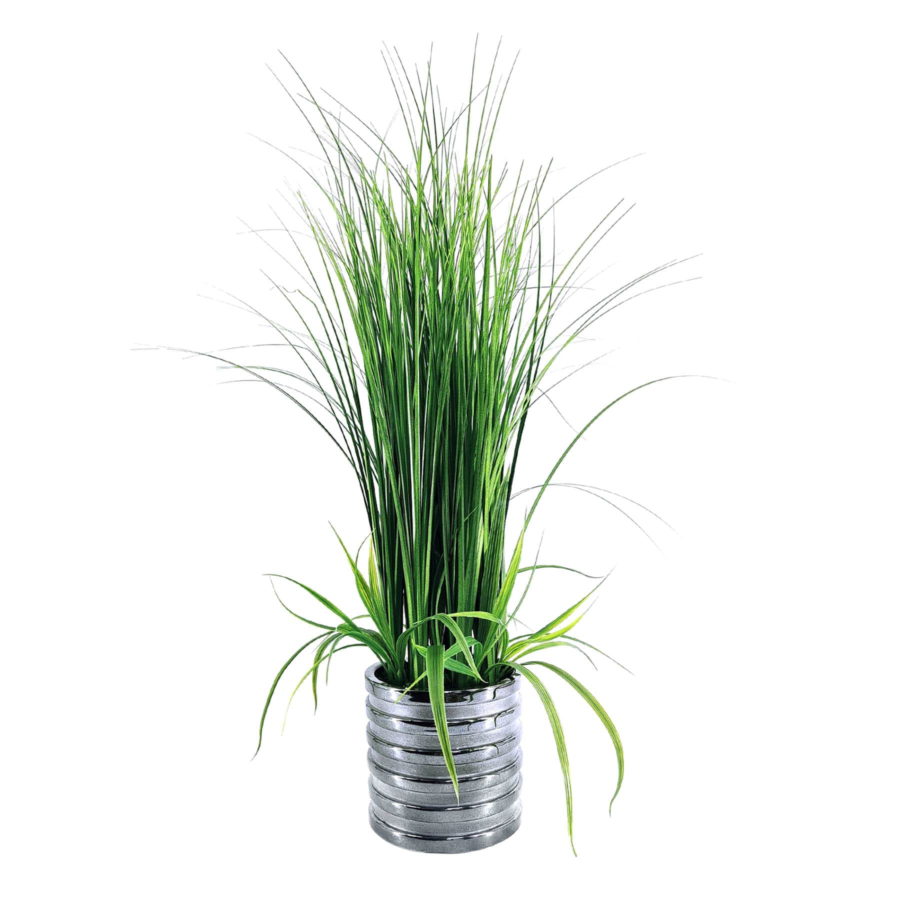 Grass Plant with Silver Ribbed Planter, 29"