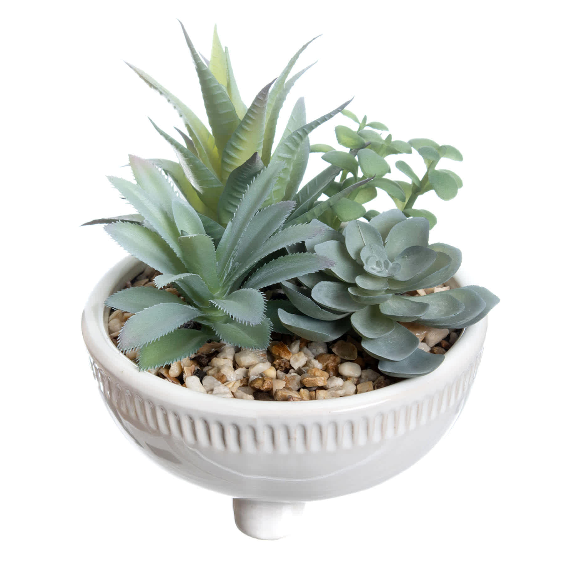 Mixed Succulent in Pot, 7"