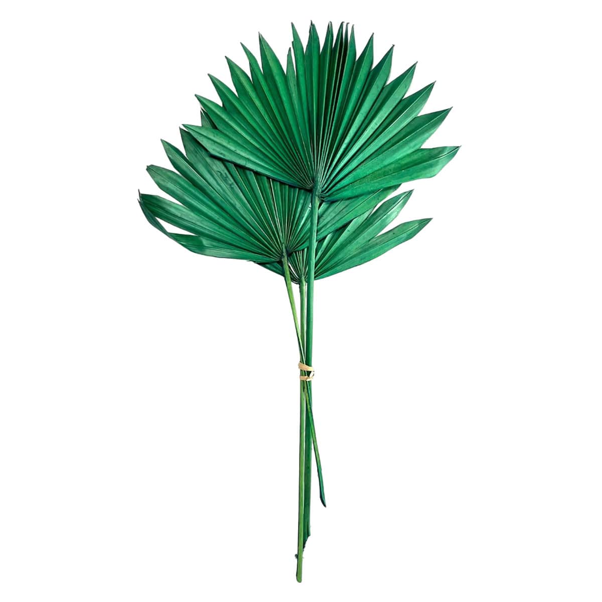 Green Sun Spear