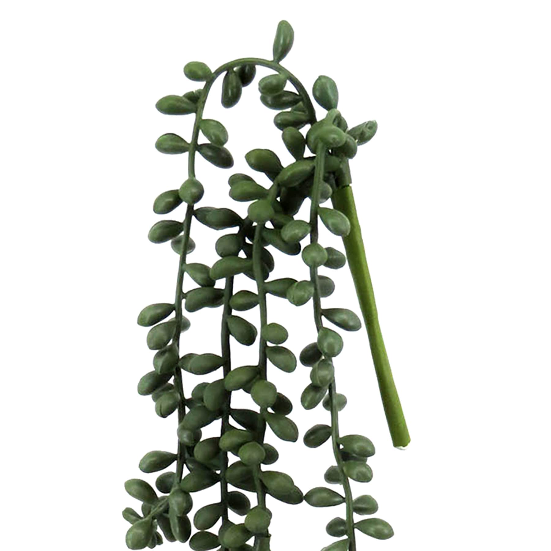 Green Nertera Berry Stem, 13.8"
