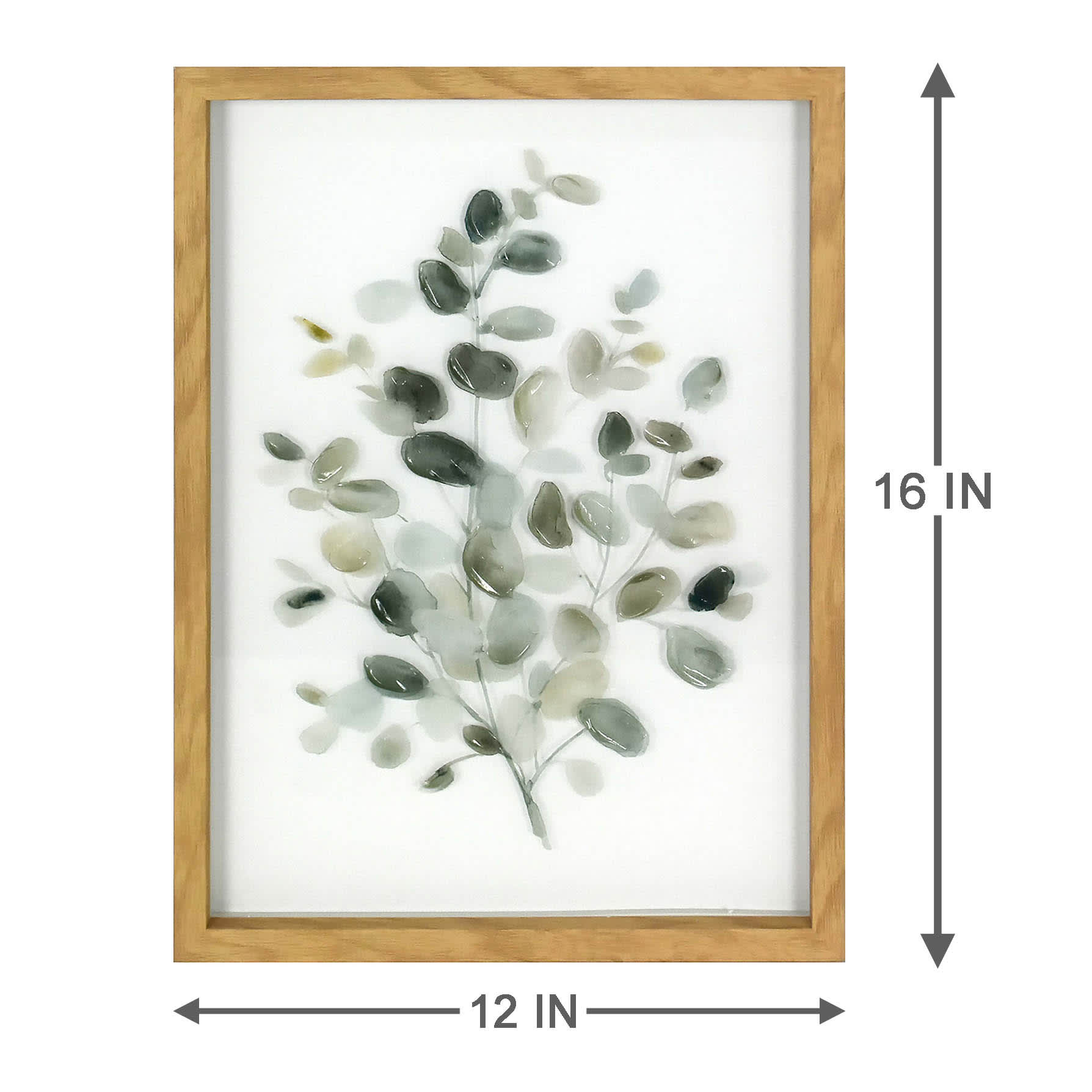Honeybloom Glass Framed Green Eucalyptus Print Wall Art, 12x16
