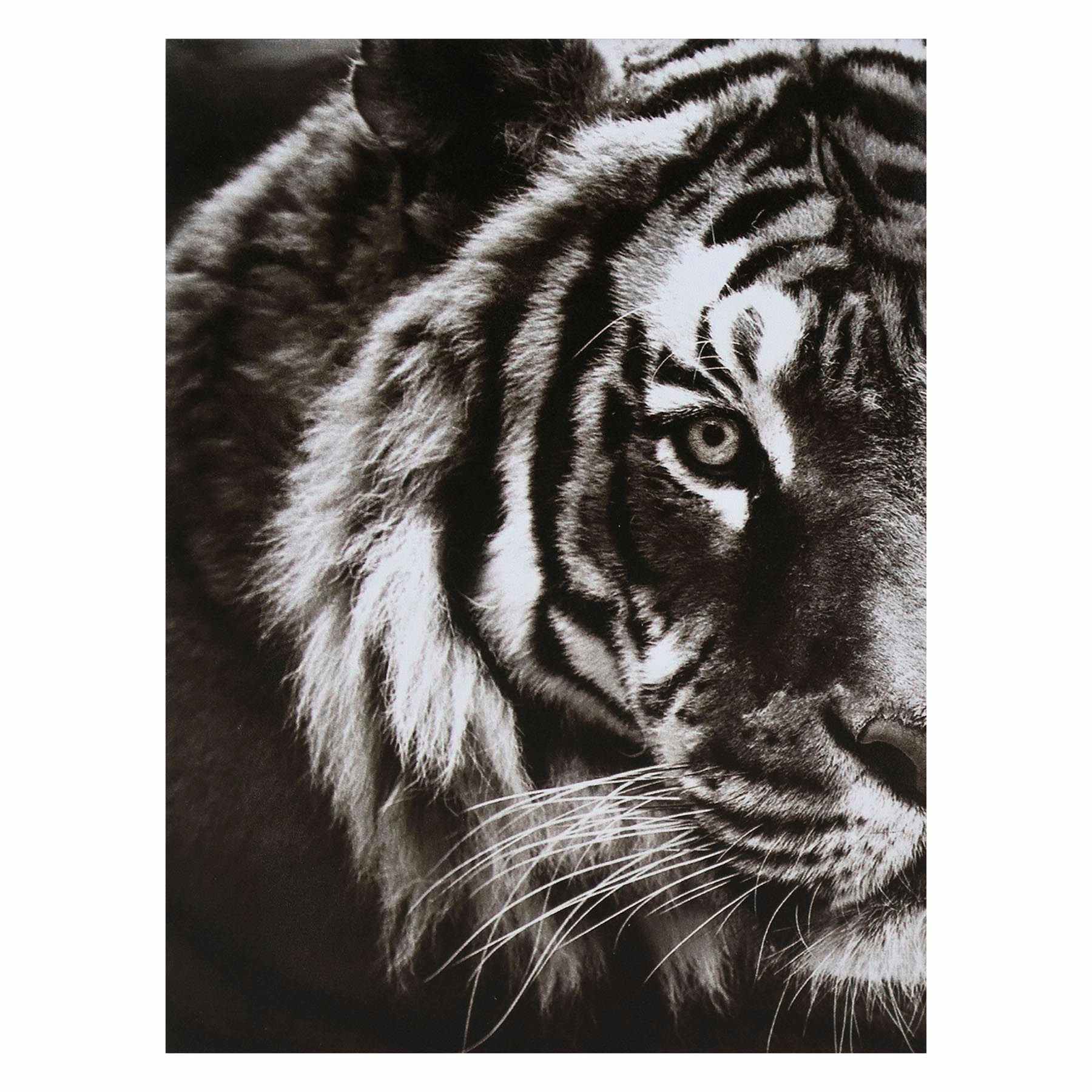Tiger Block, 6x8