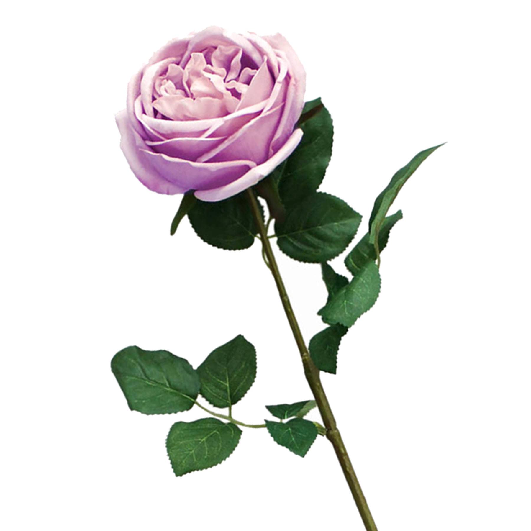 Willow Crossley Light Purple Real Feel Rose Floral Stem, 25.6"