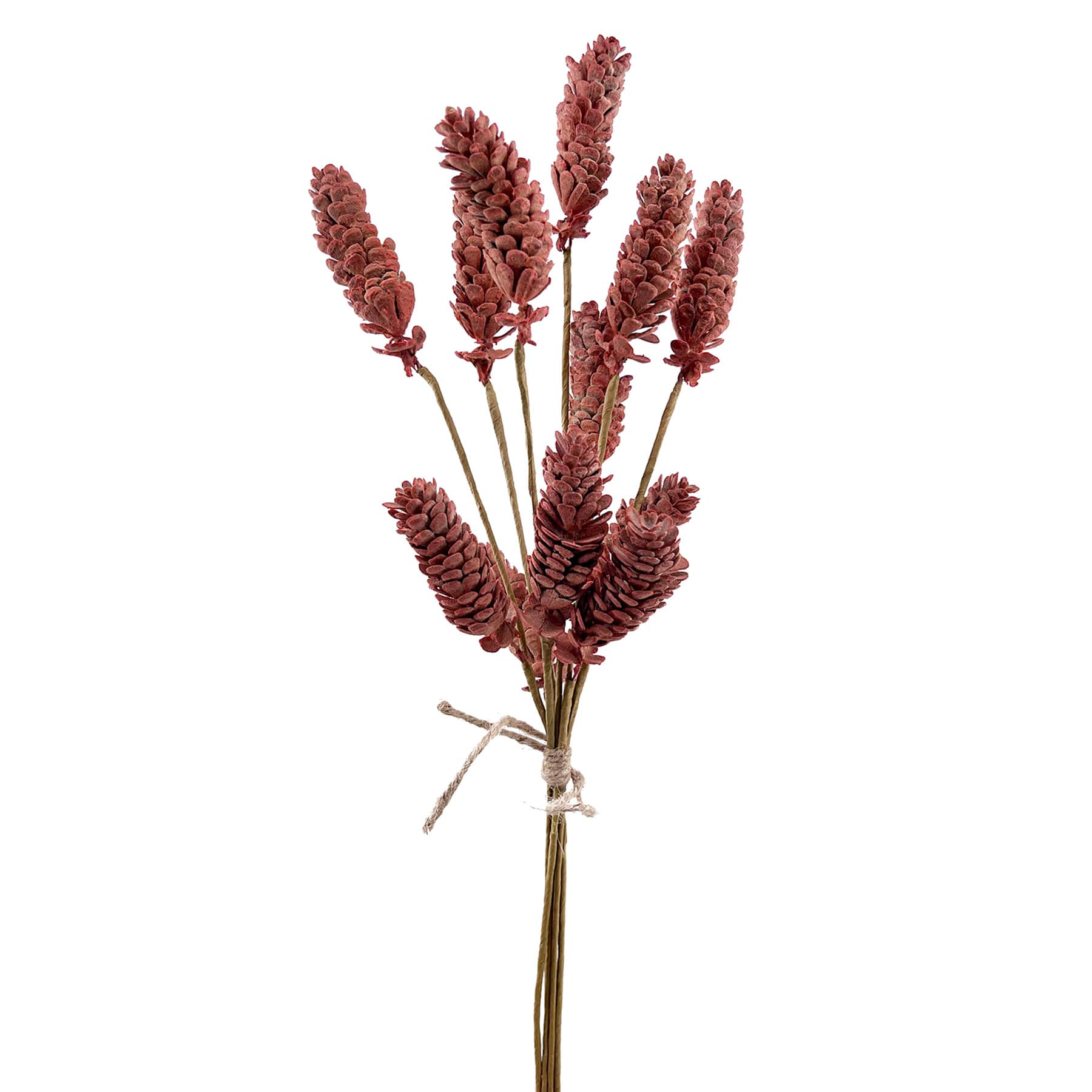 Orange Pinecone Bush, 20"