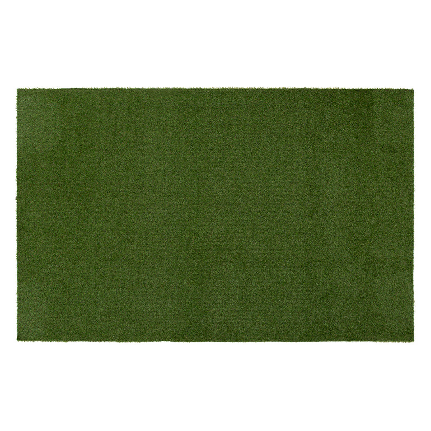 Artificial Turf, 24x36
