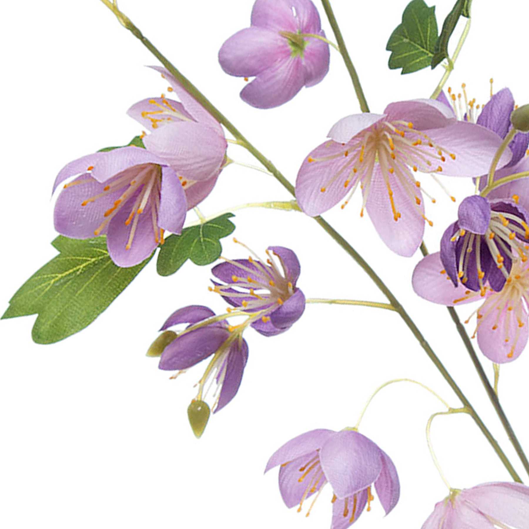 Willow Crossley Purple Columbine Pick, 12"
