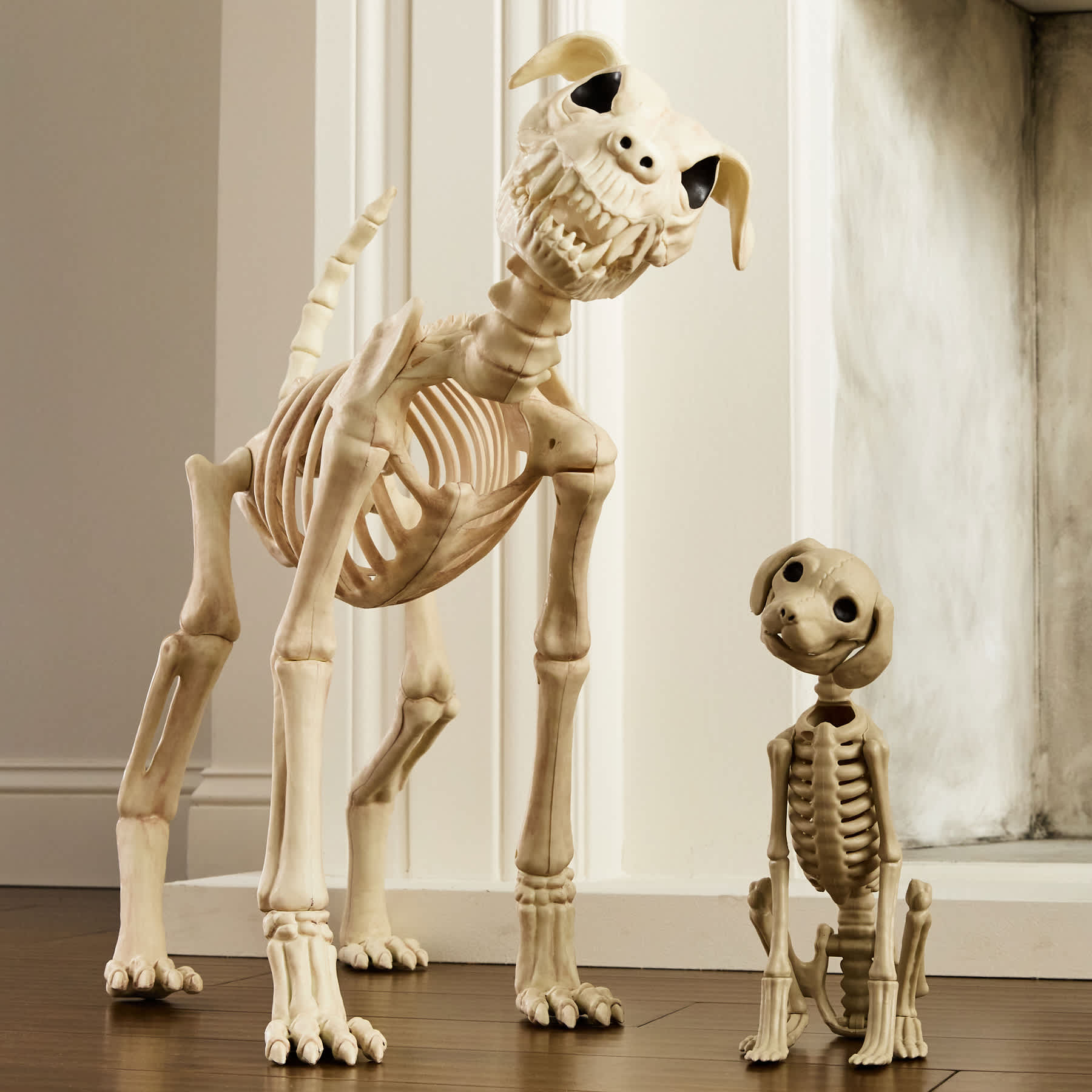 Buster Bonez