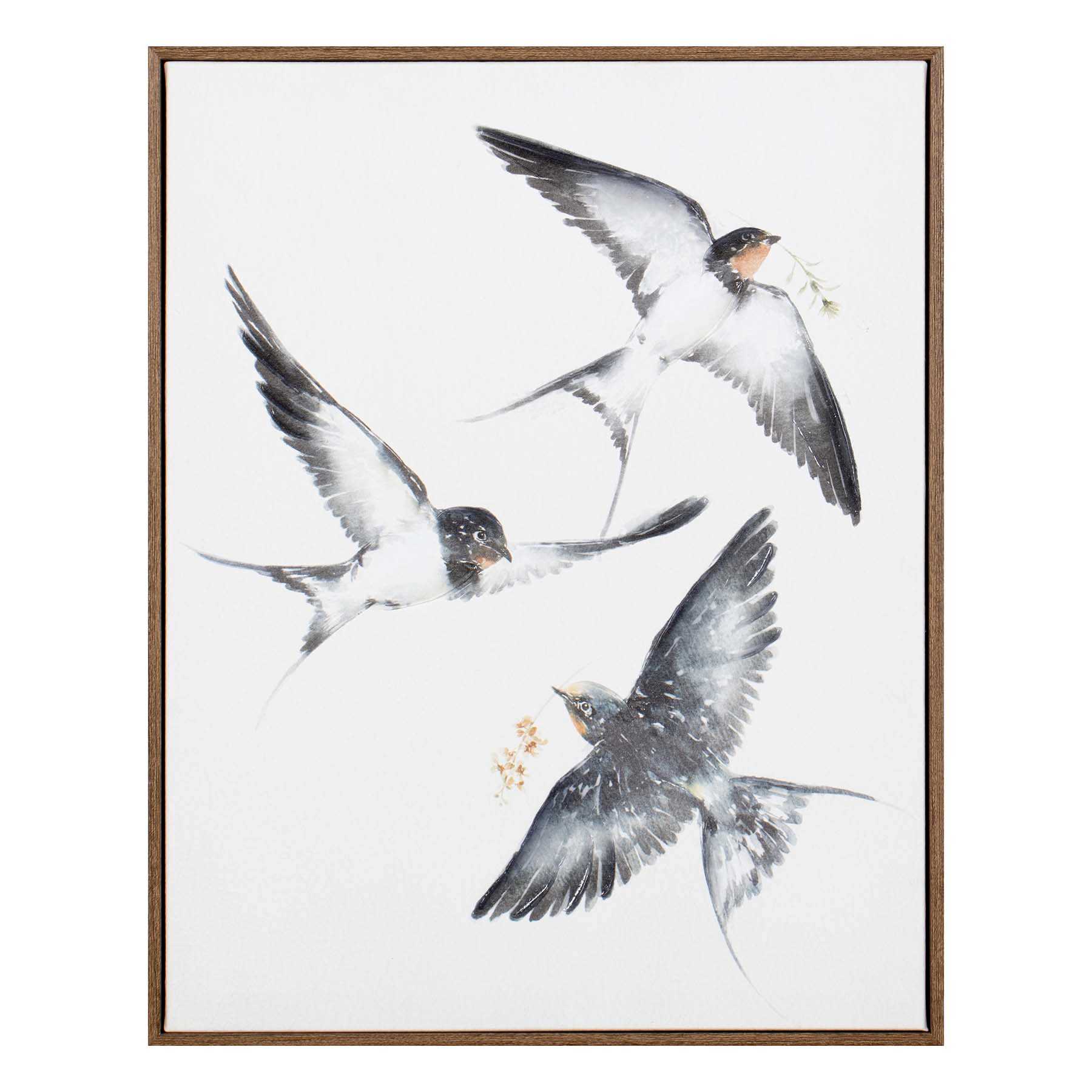 Honeybloom Framed Birds Canvas Wall Art, 16x20