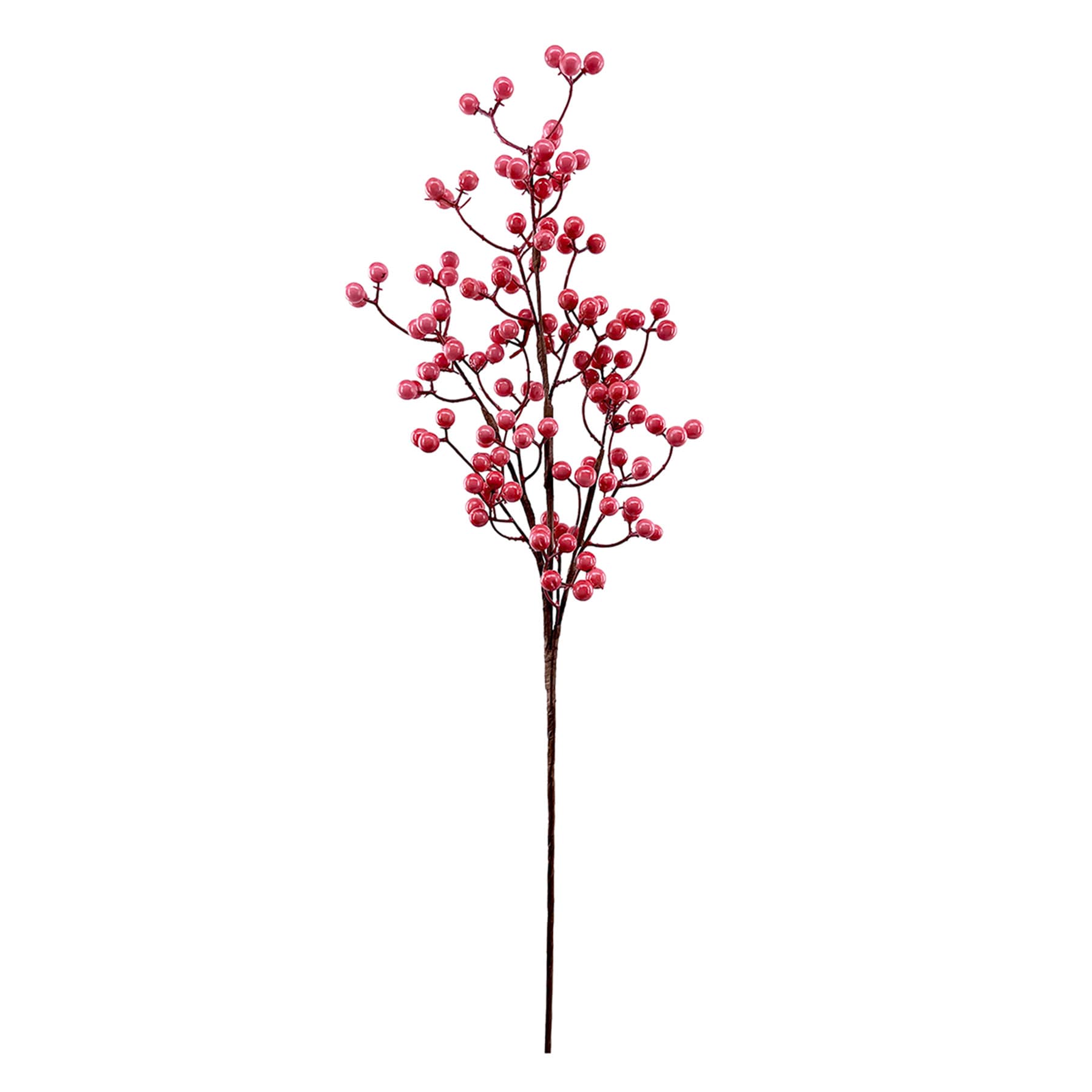 Pink Berries Ste, 31"