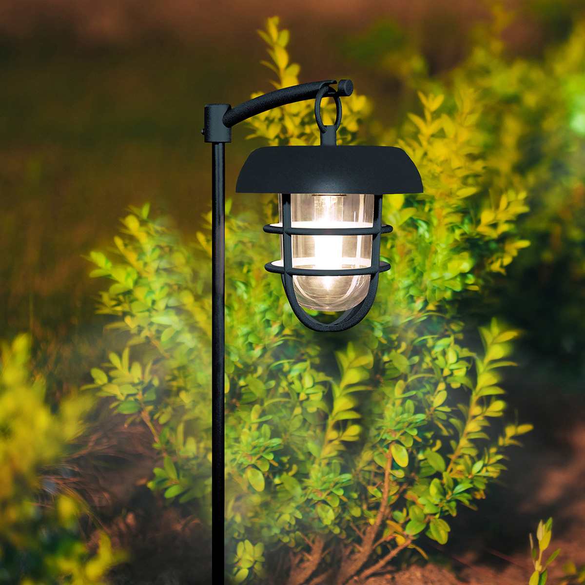 2-Pack 10-Lumen Solar Black Sheppard Hook Pathway Lights