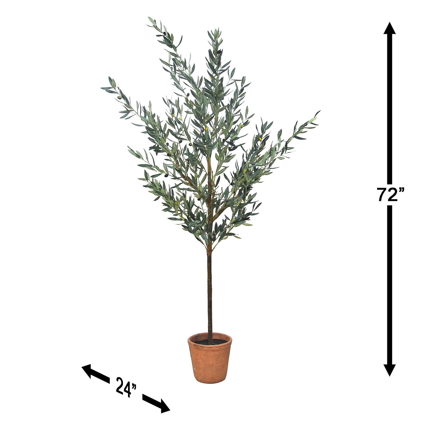 Honeybloom Olive Tree in Melamine Vessel, 72"