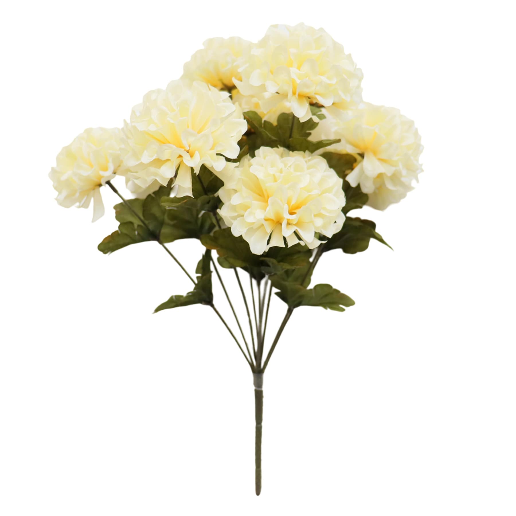 Marigold Bush x 10