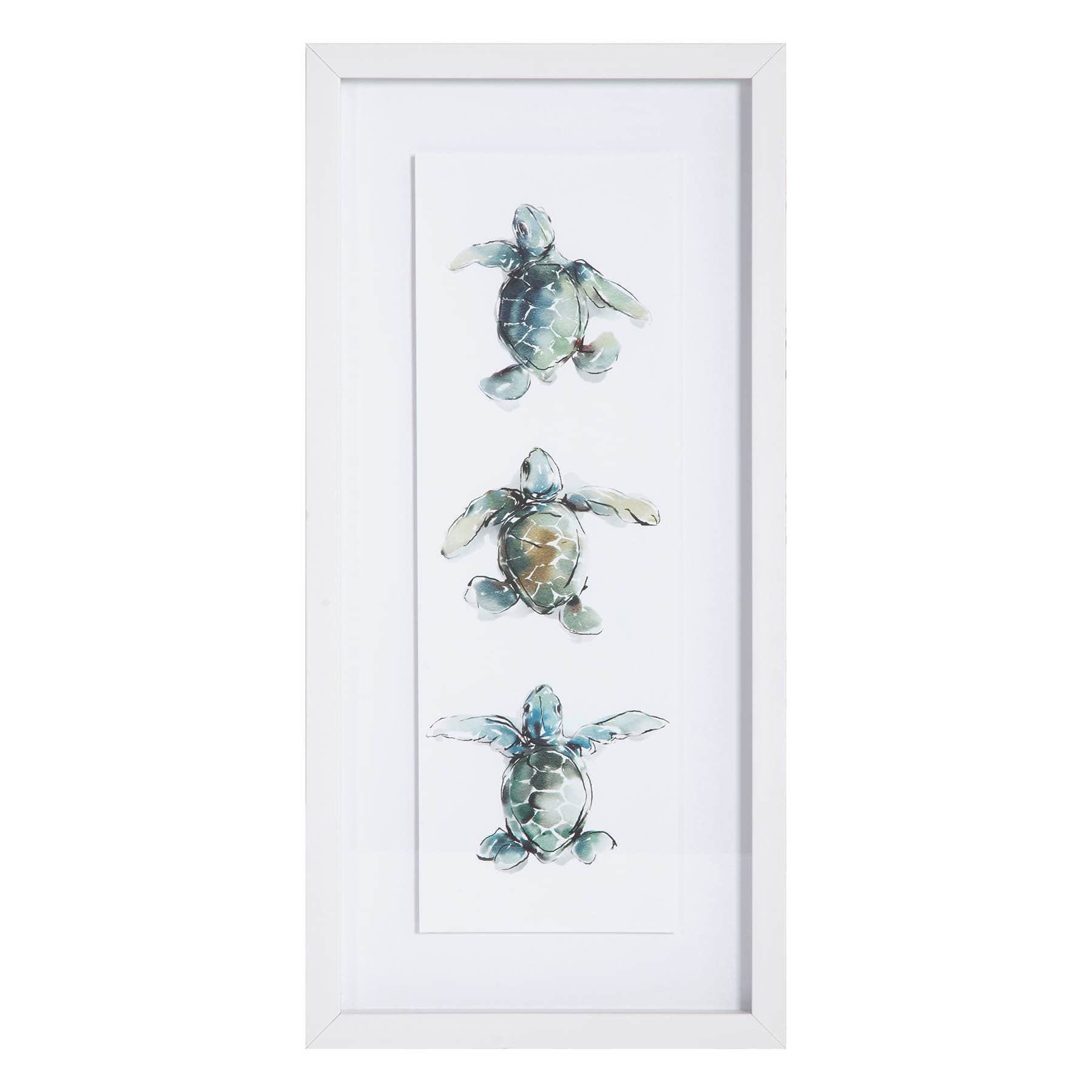 Ty Pennington Glass Framed Turtle Print Wall Art, 11x23