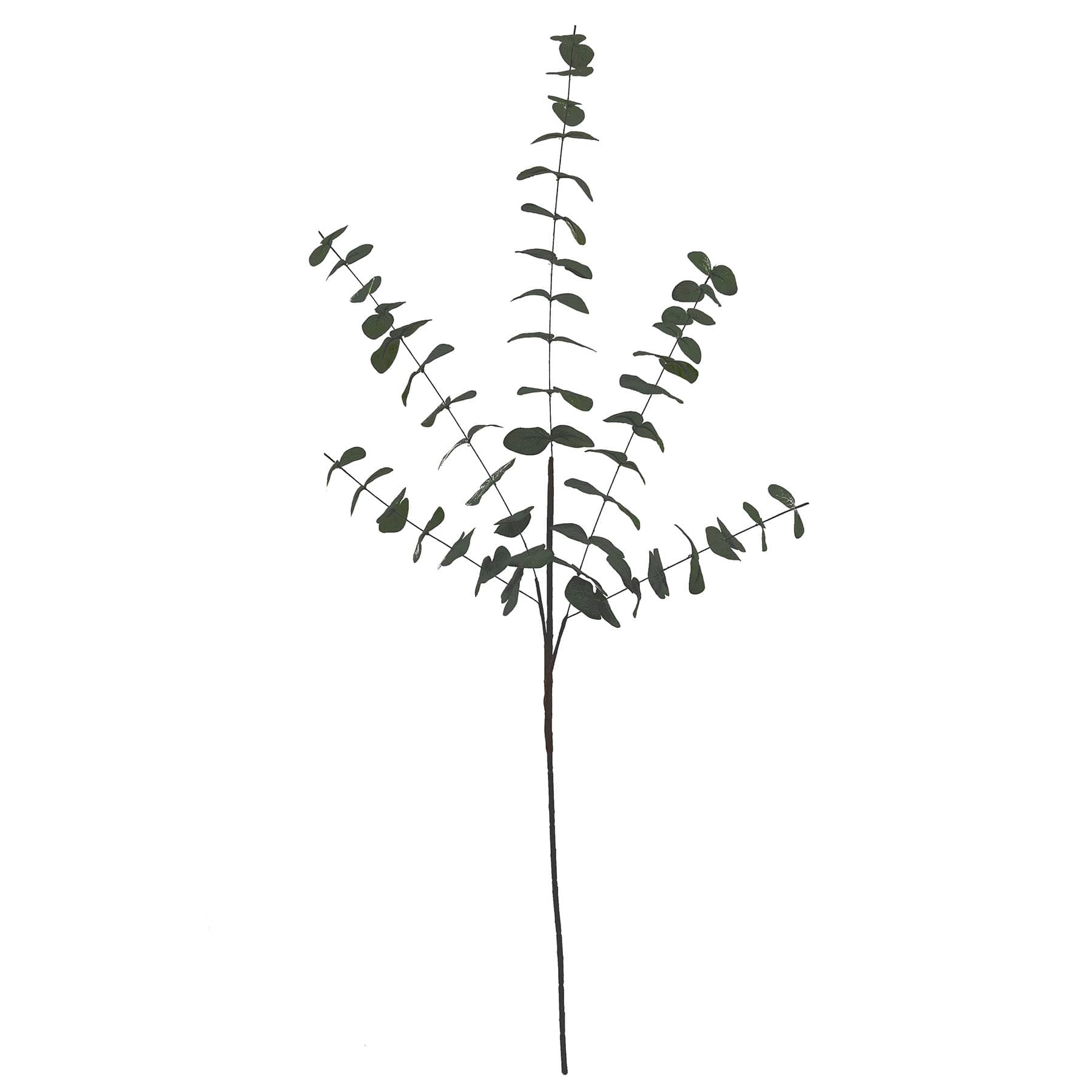 Eucalyptus Plant Spray, 40.5"