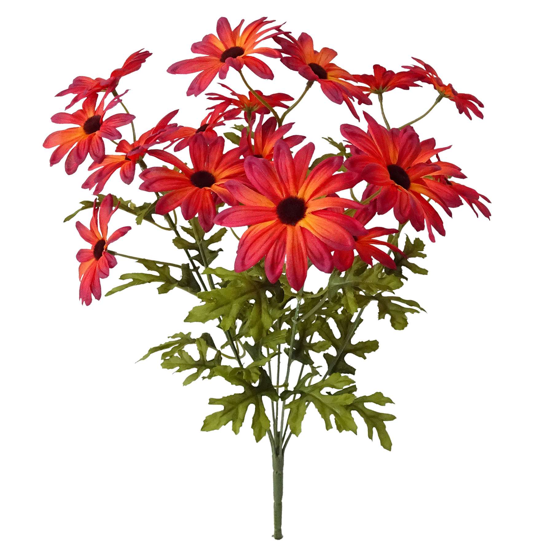 Red 20-Head Daisy Bush, 18"