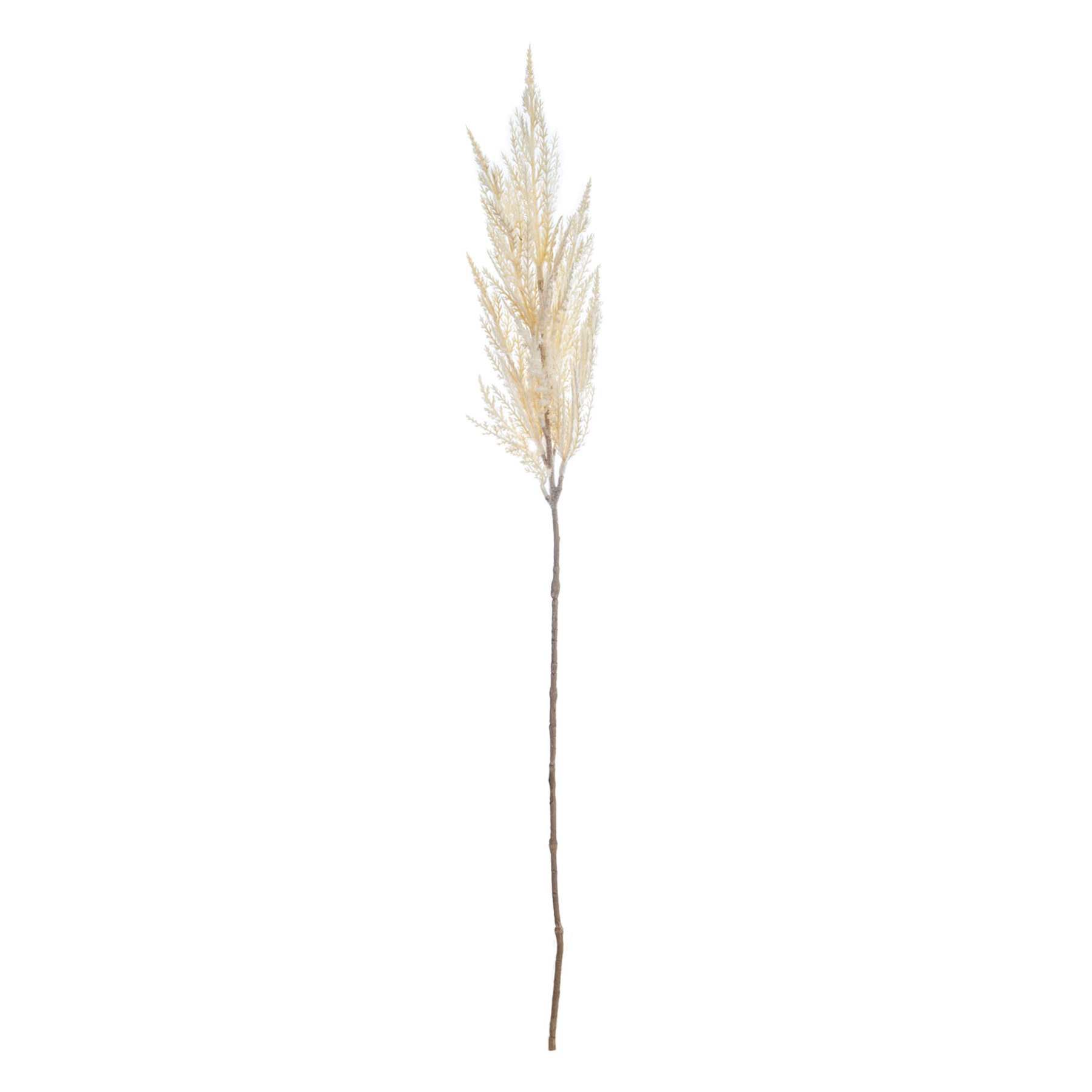 White Pampas Grass Stem, 32"