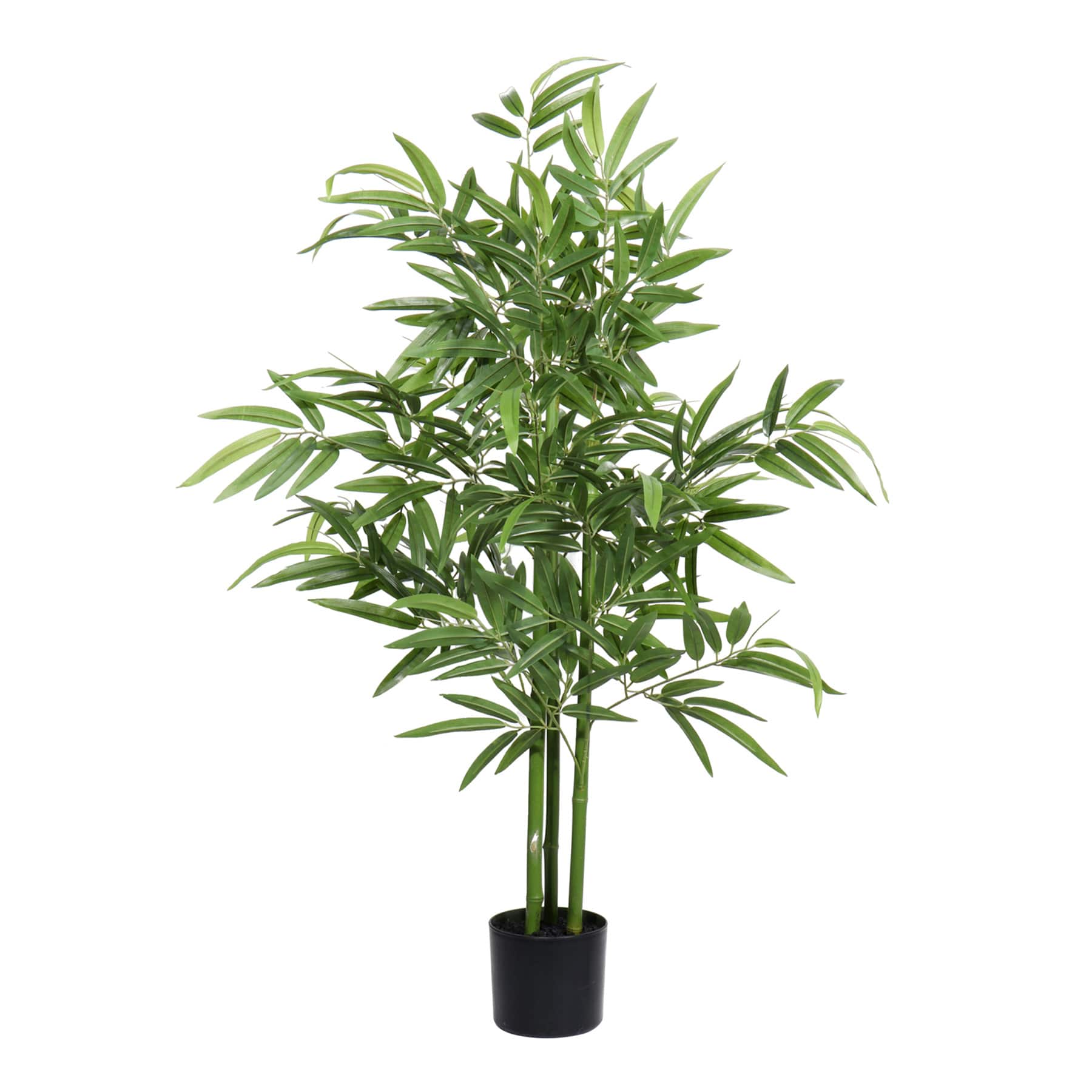 Bamboo Tree in Black Pot, 4.5'