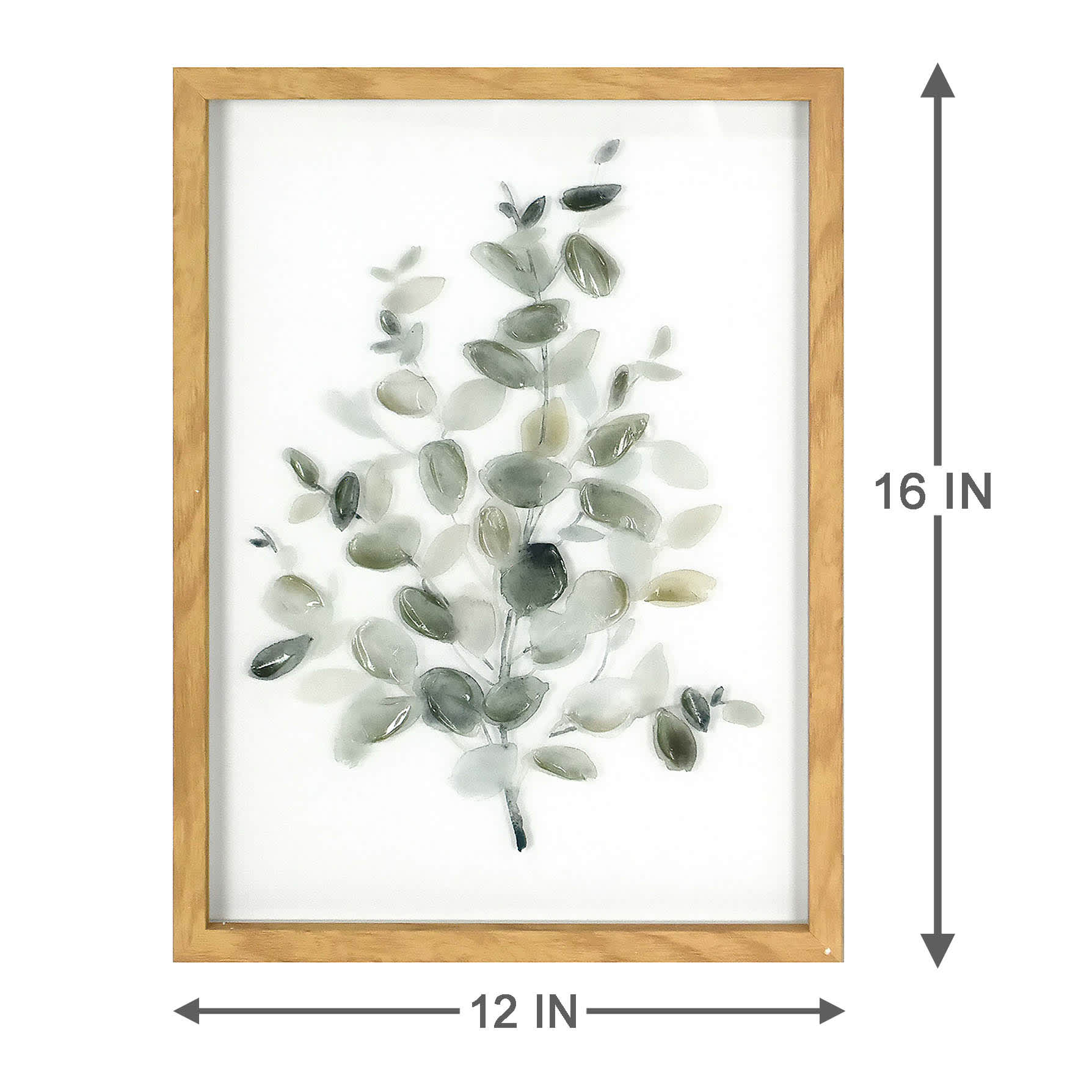 Honeybloom Glass Framed Green Eucalyptus Print Wall Art, 12x16