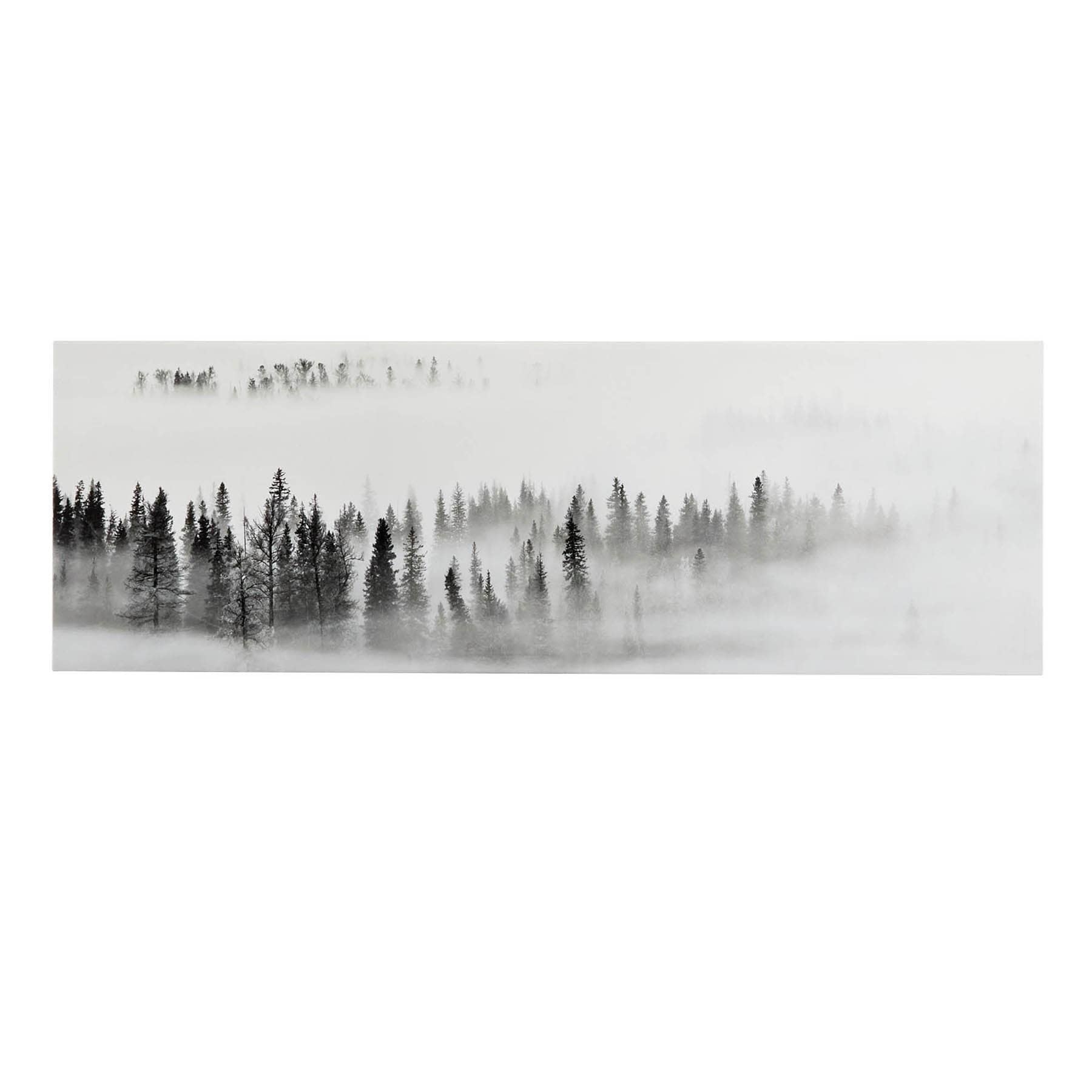 Ty Pennington Foggy Forest Canvas Wall Art, 36x12