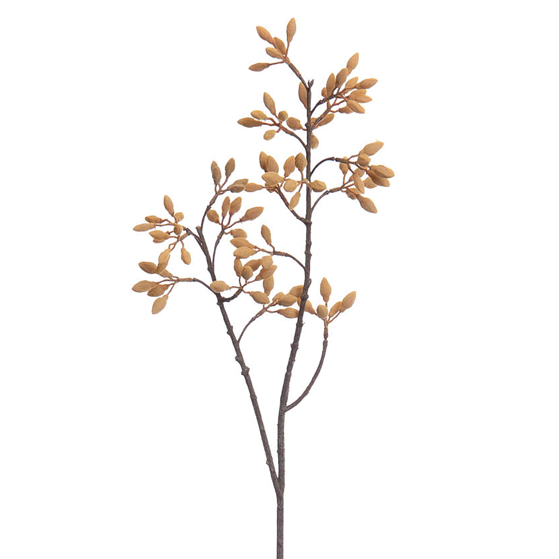 Natural Firmiana Simplex Chinese Parasol Tree Spray Stem, 30"