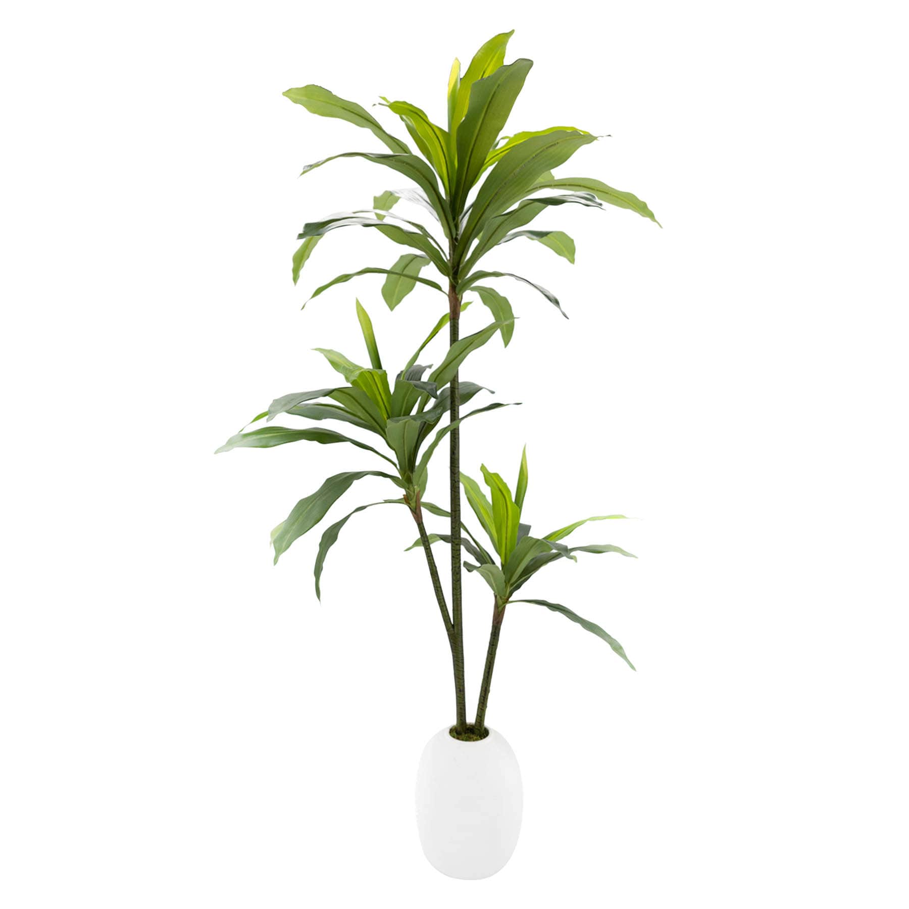 Ty Pennington Floor Greenery with White Ceramic Pot, 52"