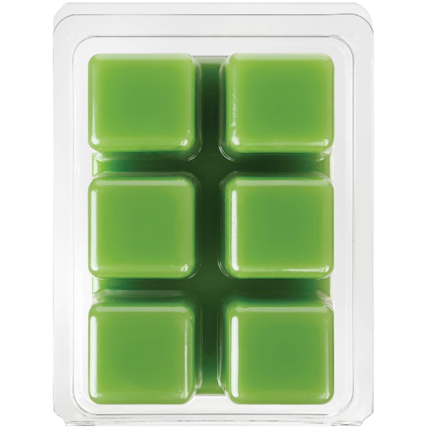 Succulent Dreams Scented Wax Melts, 2.5oz