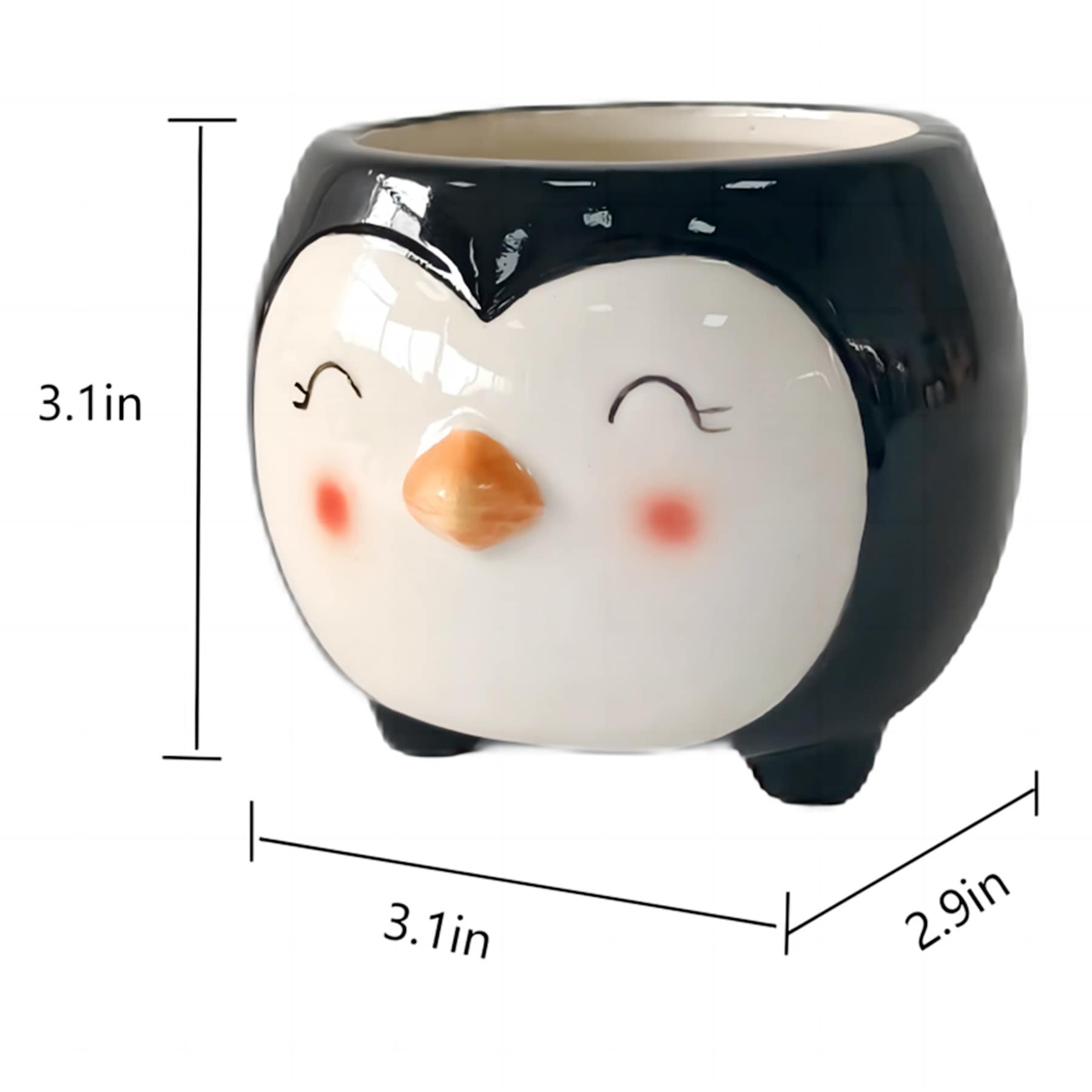 Indoor Penguin Ceramic Planter, 3"