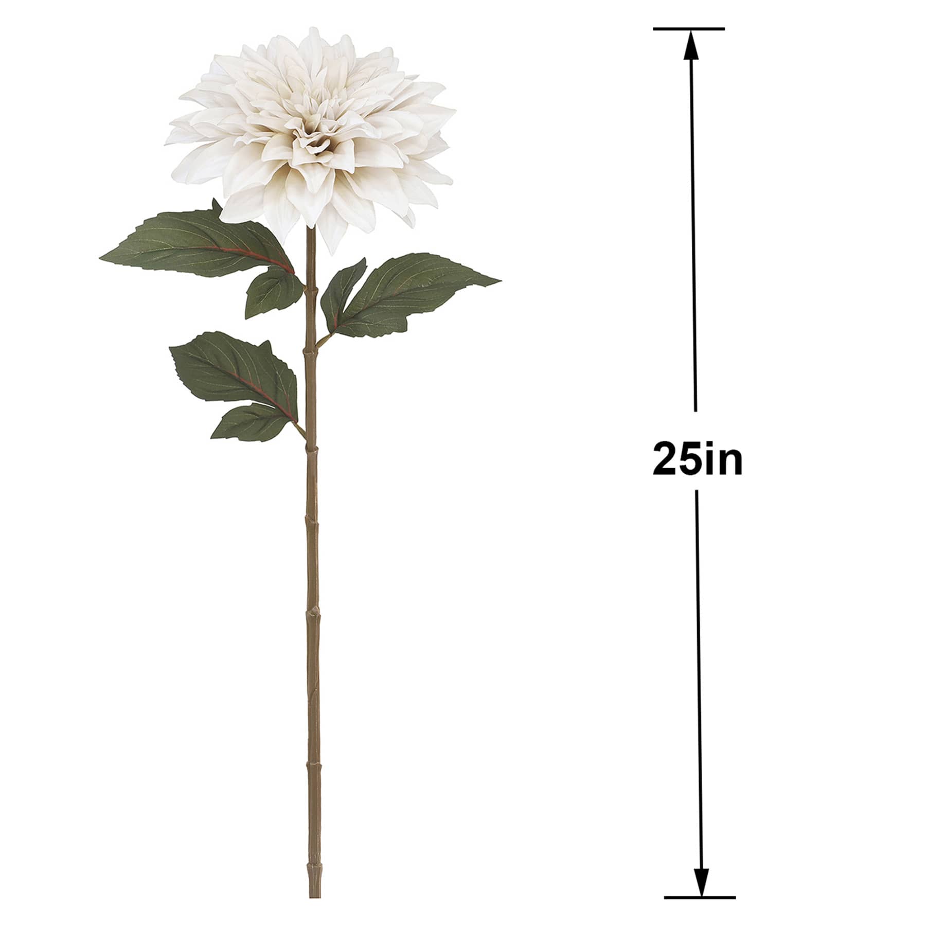 Dahlia Stem, 25"