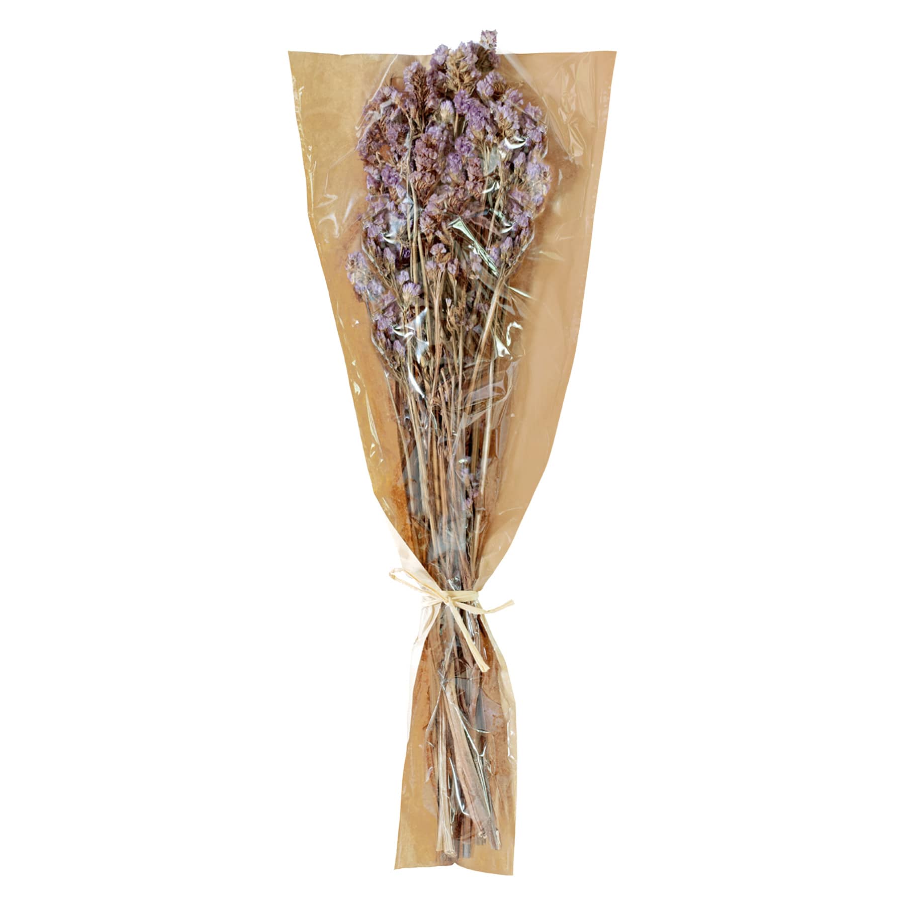 Dried Status Bundle, 23"