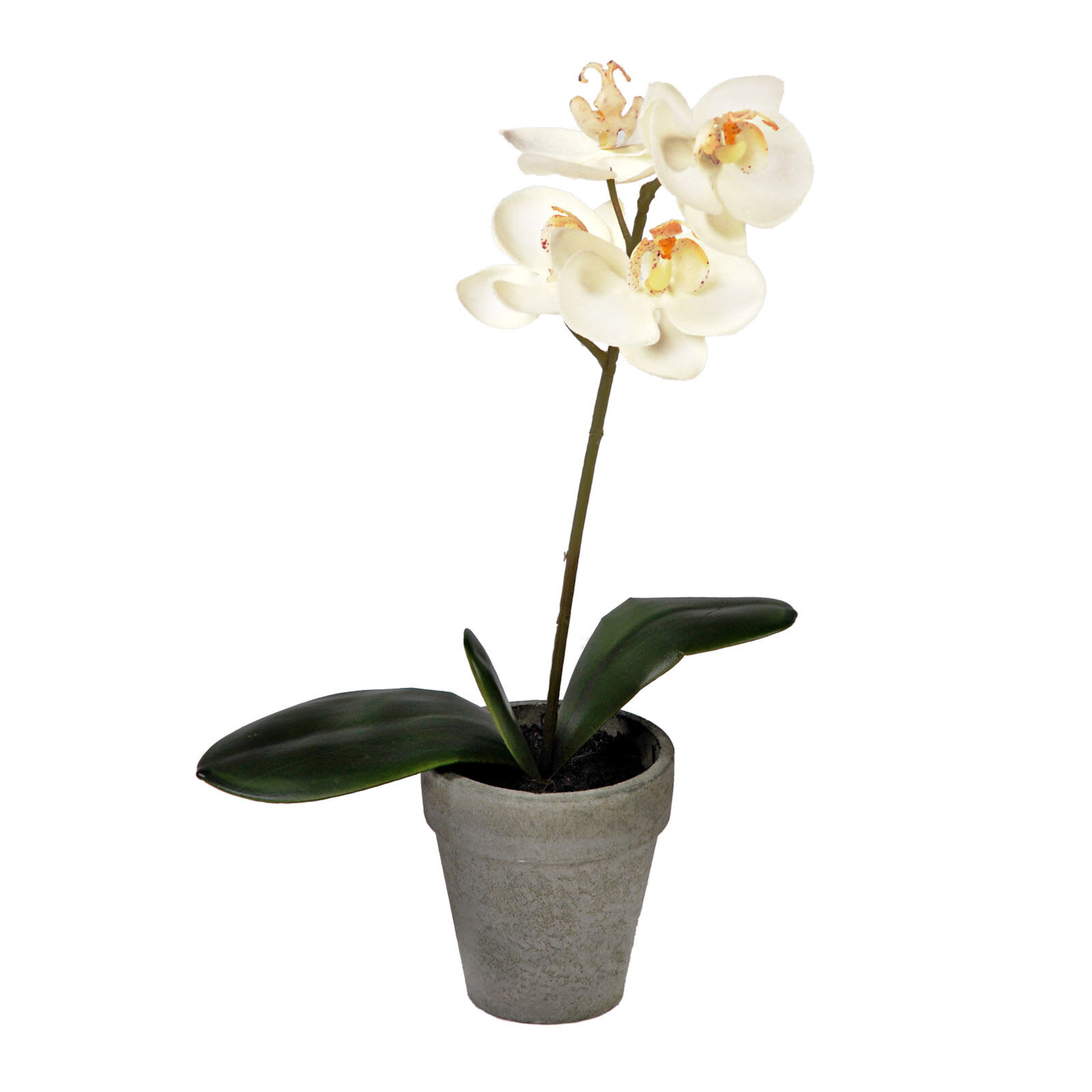 White Orchid Flower with Grey Planter, 13"