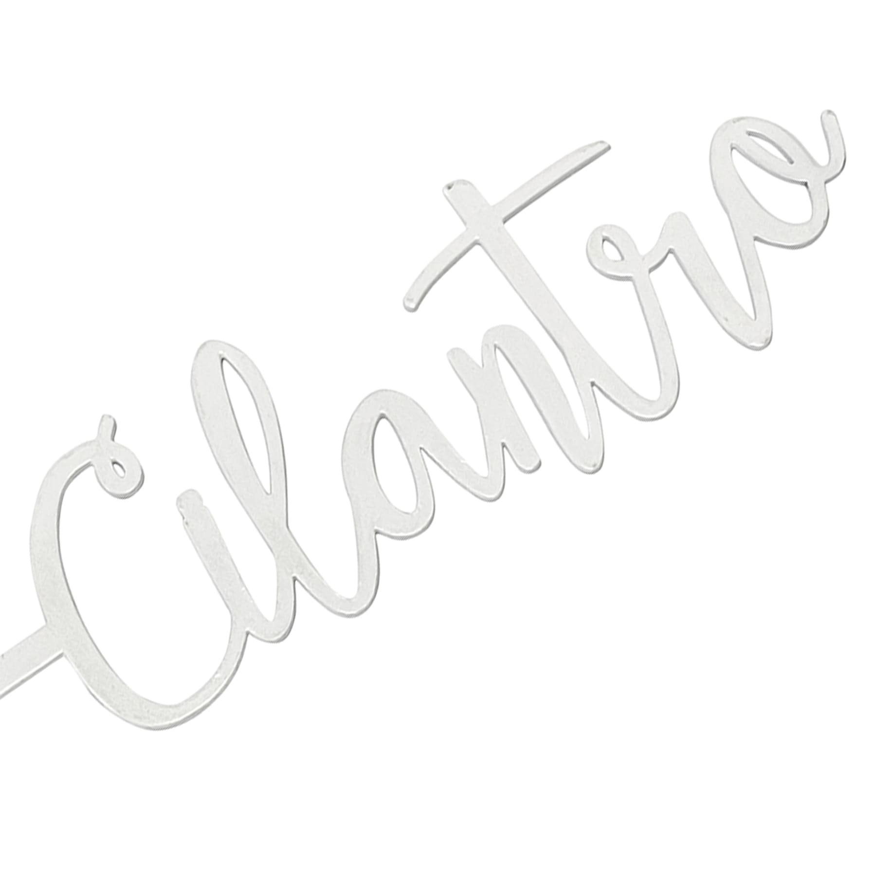 Honeybloom Cilantro Metal Herb Marker, 10"